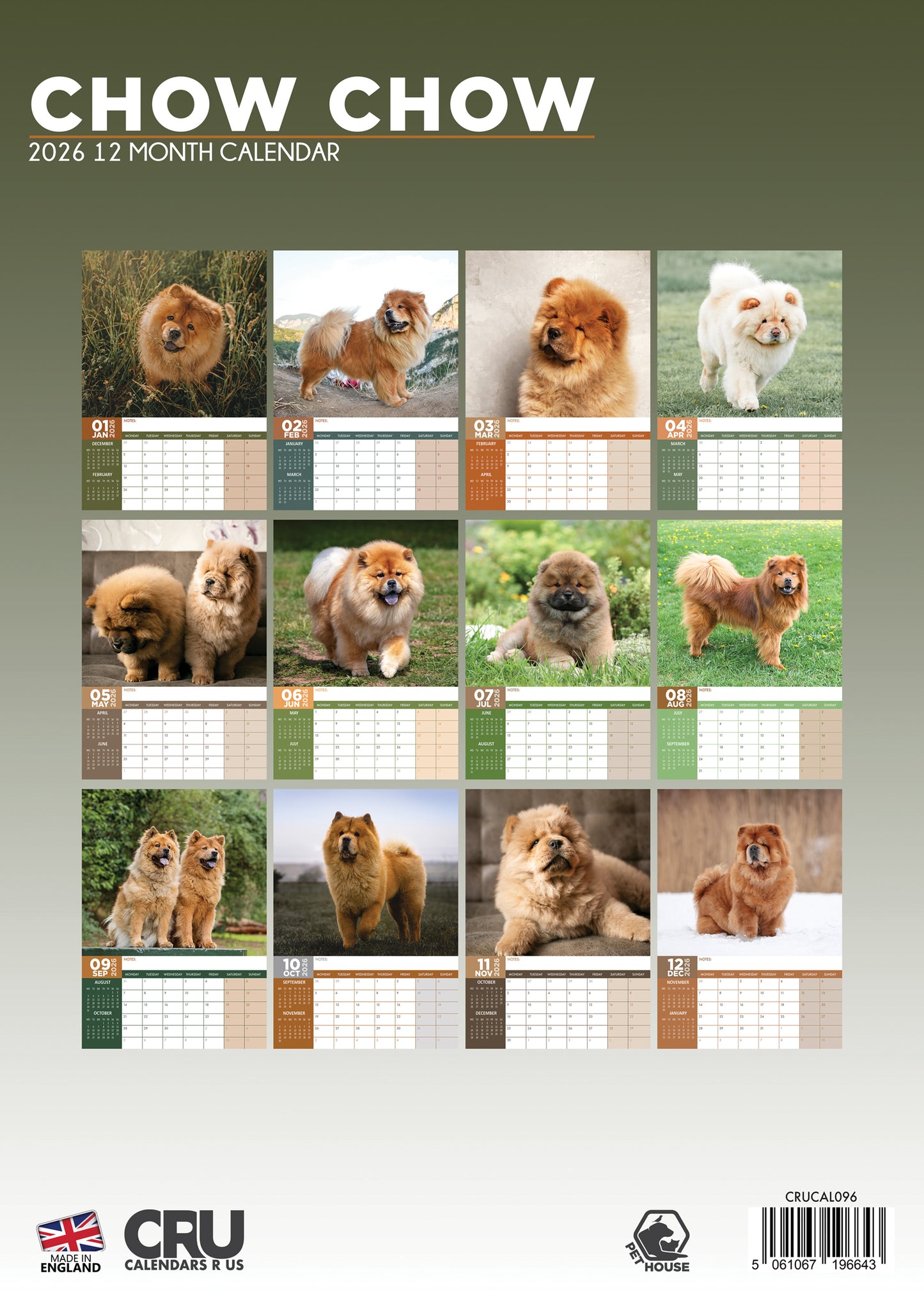 Chow Chow Calendar 2026 – A Year of Majestic Beauty and Fluffy Charm
