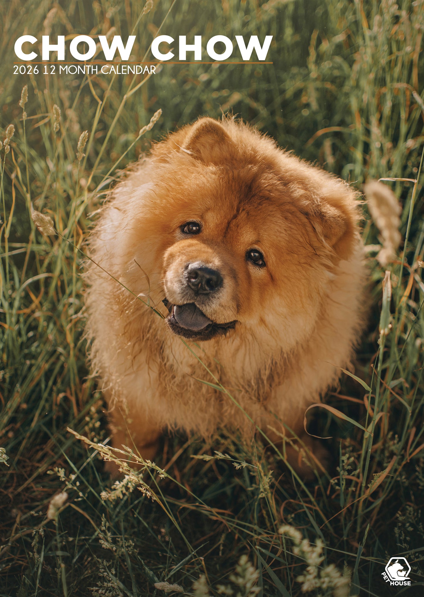 Chow Chow Calendar 2026 – A Year of Majestic Beauty and Fluffy Charm