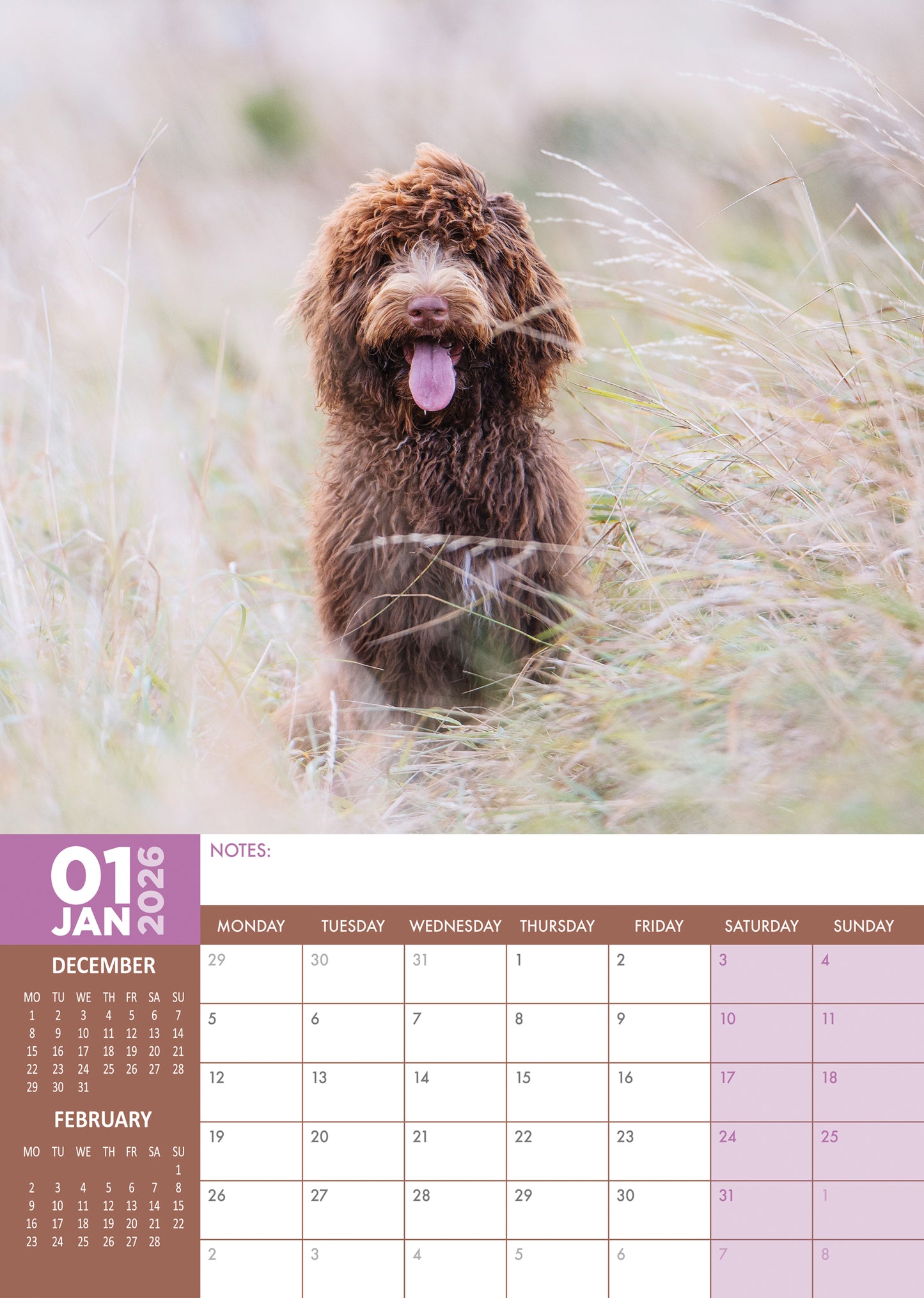 Cockapoo Calendar 2026 – A Year of Joyful Energy and Curly-Eared Cuteness