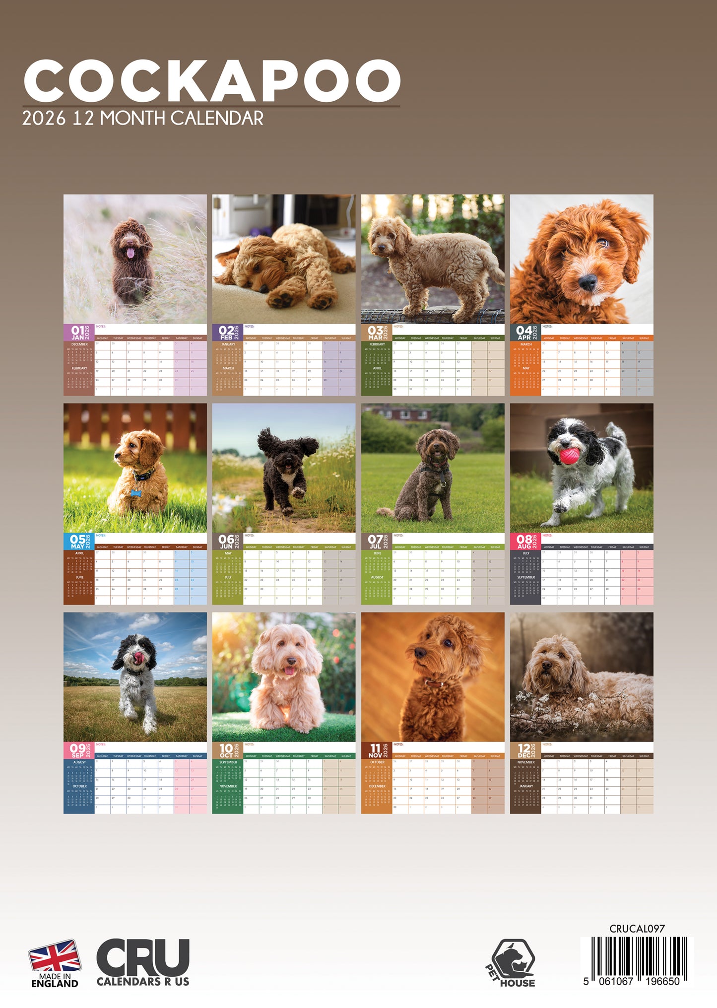 Cockapoo Calendar 2026 – A Year of Joyful Energy and Curly-Eared Cuteness