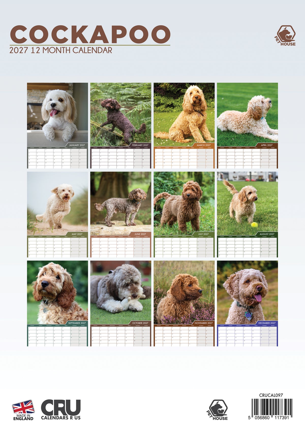 Cockapoo Calendar 2027 – A Year of Joyful Energy and Curly-Eared Cuteness