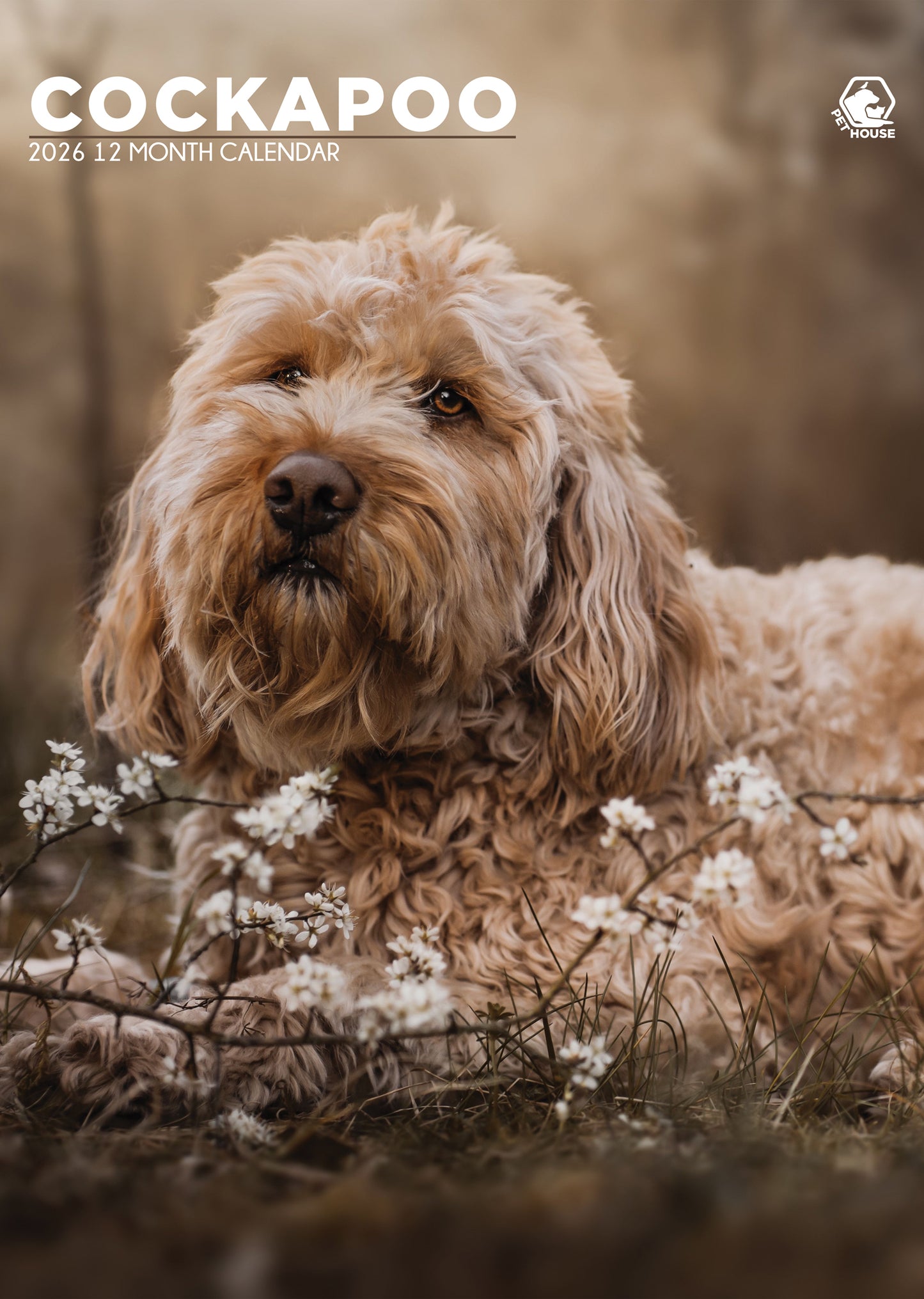 Cockapoo Calendar 2026 – A Year of Joyful Energy and Curly-Eared Cuteness