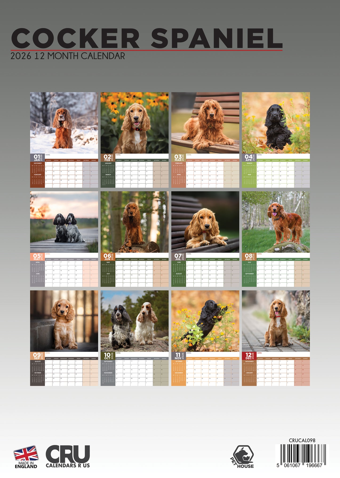 Cocker Spaniel Calendar Square 2026 – A Year of Floppy Ears & Wagging Tails