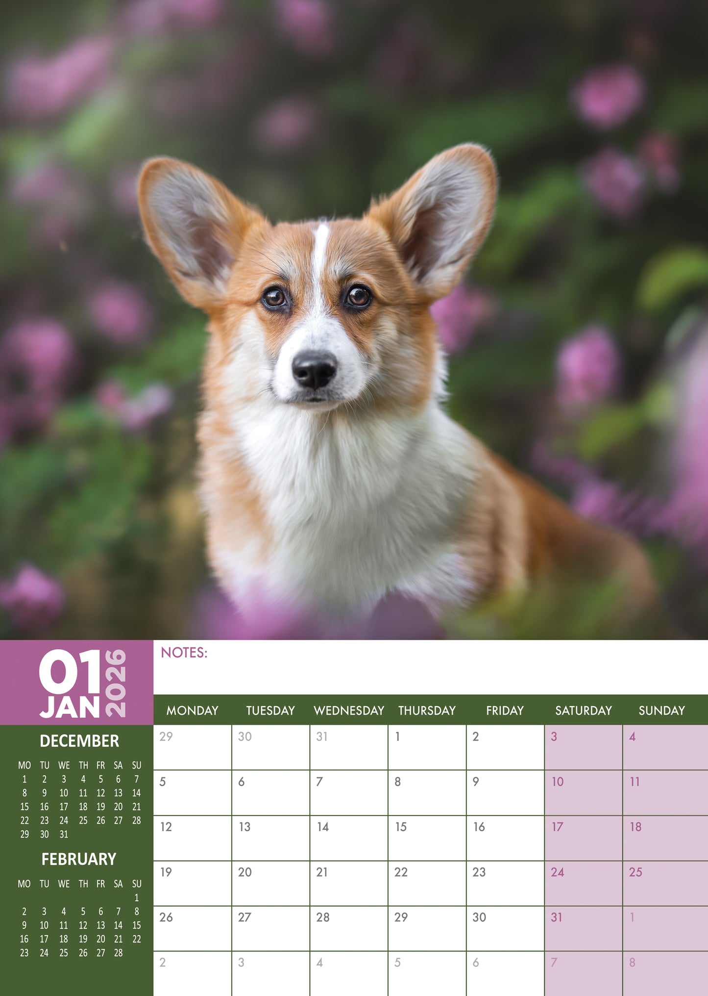 Corgi Calendar 2026 – A Year of Stumpy Legs and Big Smiles