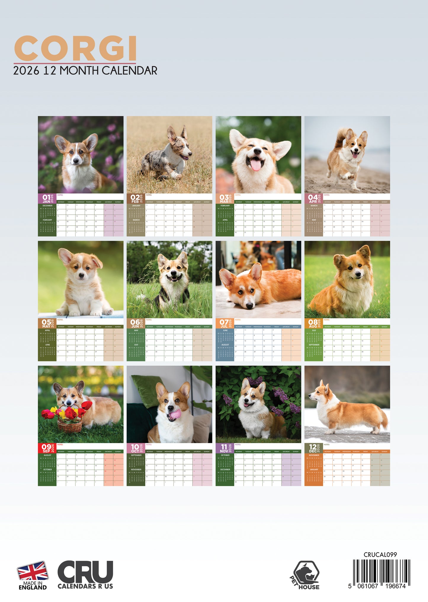 Corgi Calendar 2026 – A Year of Stumpy Legs and Big Smiles