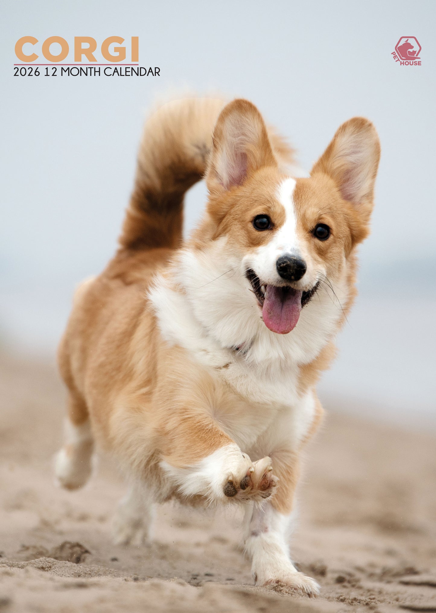 Corgi Calendar 2026 – A Year of Stumpy Legs and Big Smiles