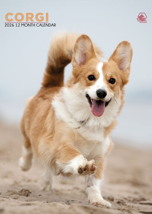 Corgi Calendar 2026 – A Year of Stumpy Legs and Big Smiles