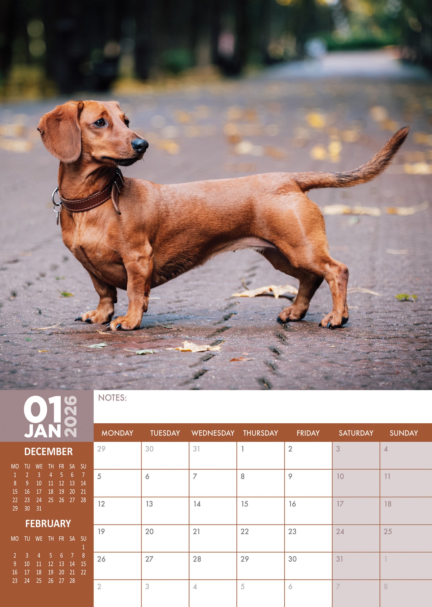 Dachshund Calendar 2026 – A Year of Long Dogs and Big Personality