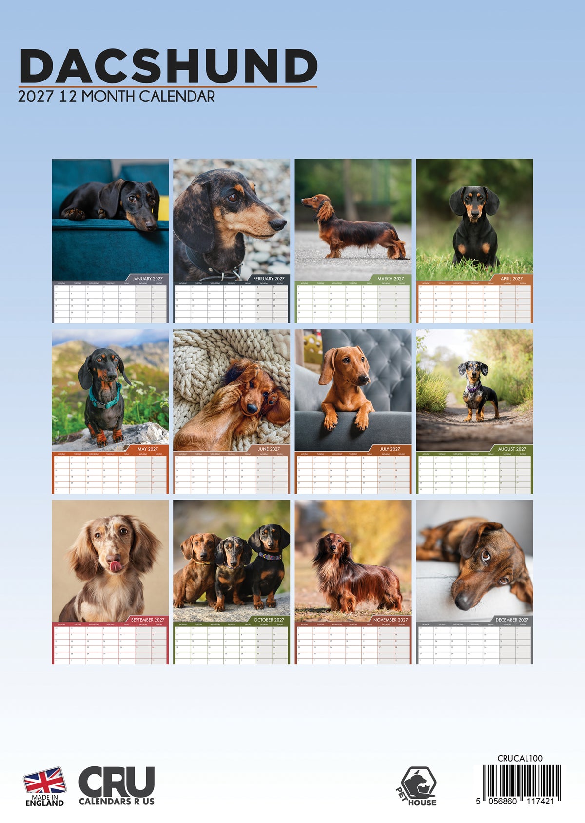 Dachshund Calendar 2027 – A Year of Long Dogs and Big Personality