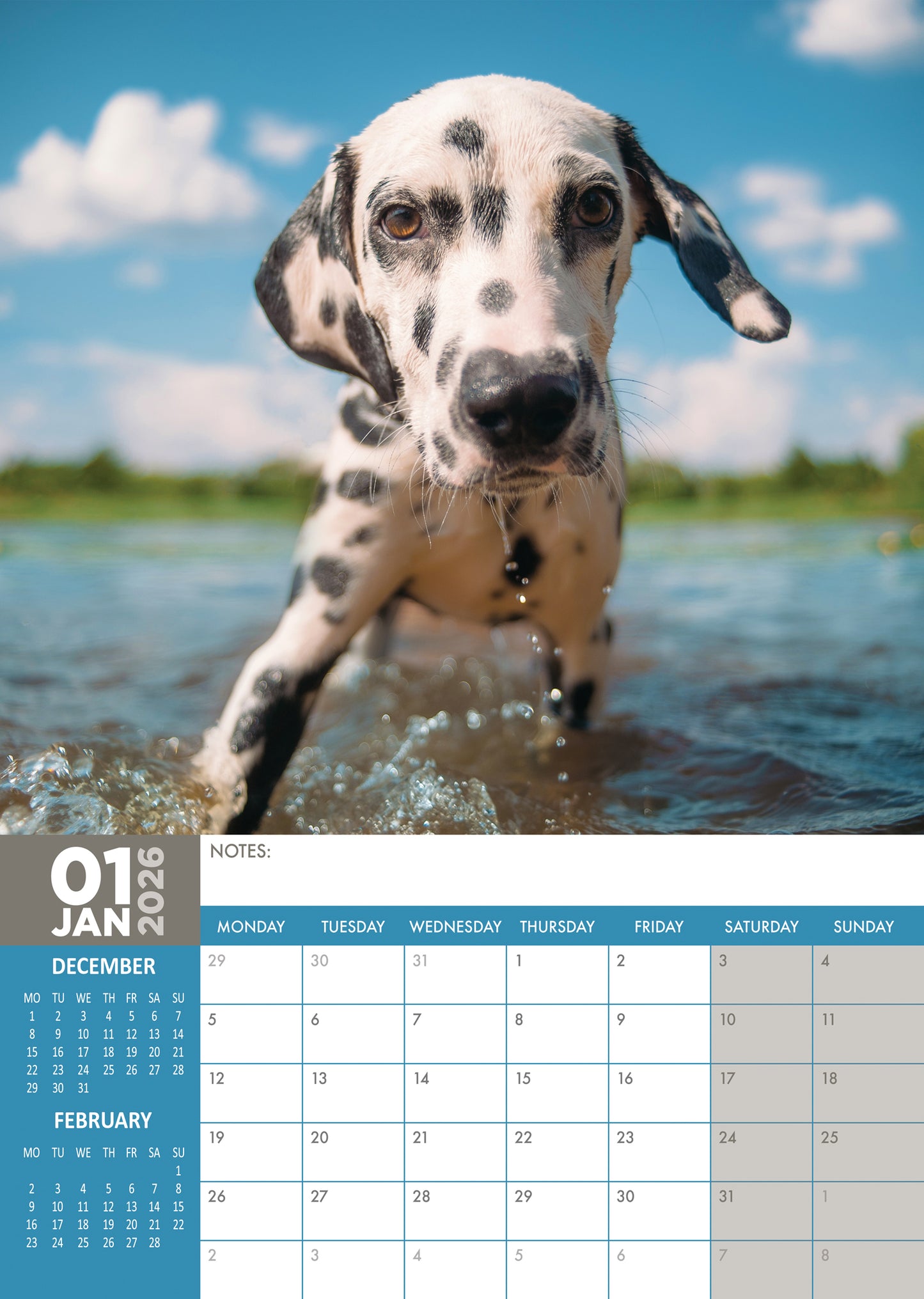 Dalmatian Calendar 2026 – A Spot-On Gift for Dog Lovers