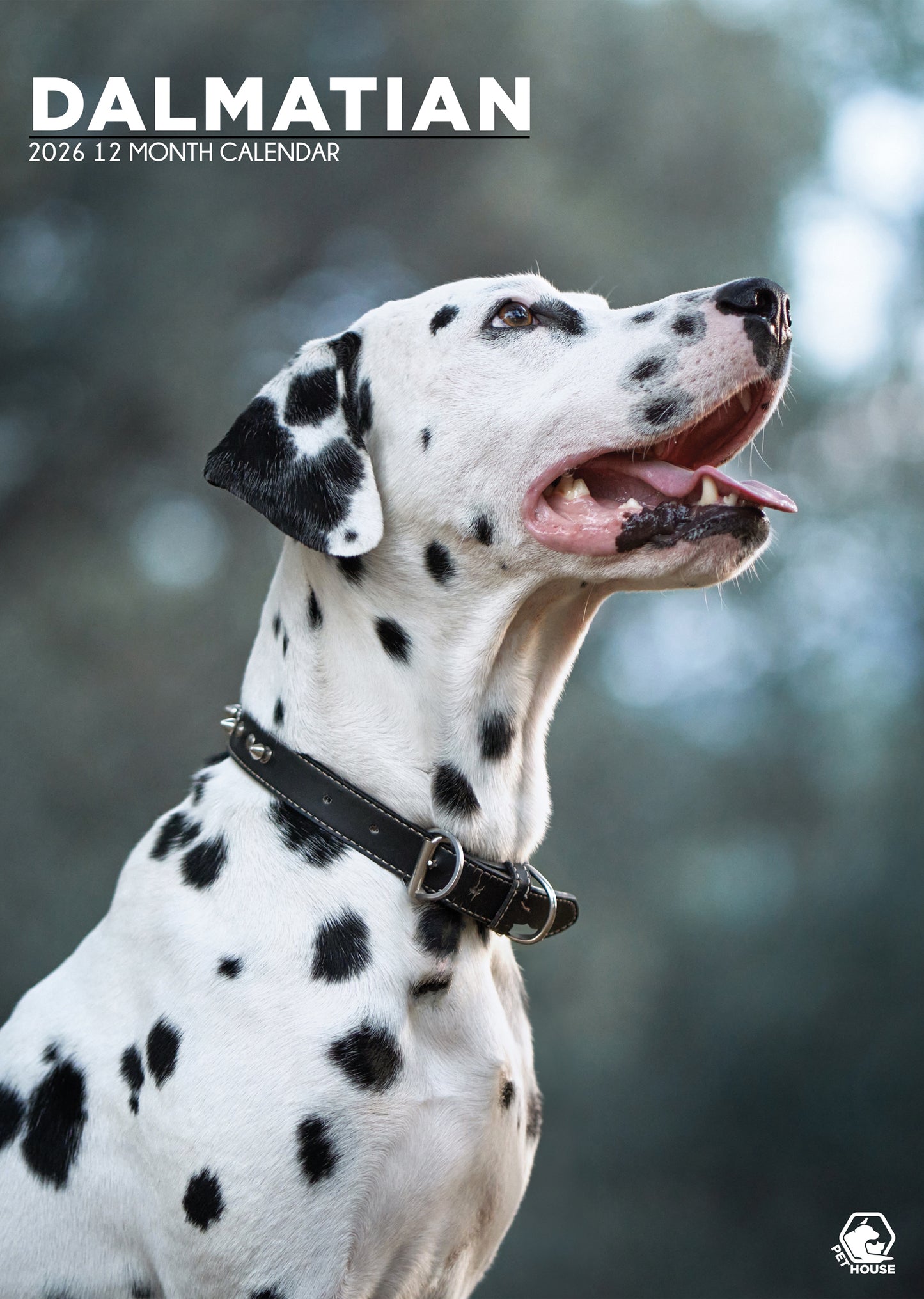 Dalmatian Calendar 2026 – A Spot-On Gift for Dog Lovers