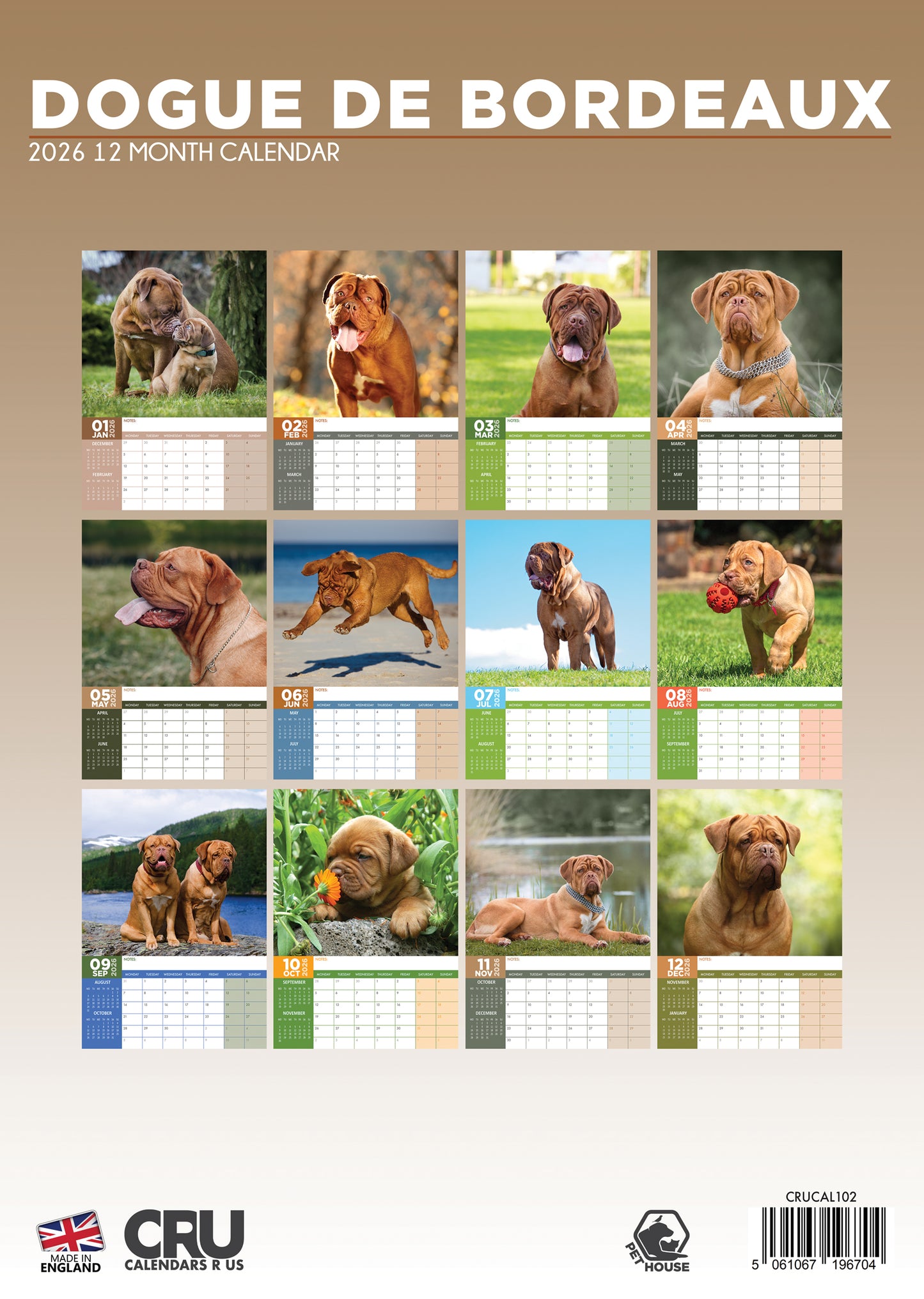 Dogue De Bordeaux Calendar 2026 – A Majestic Tribute to the Noble Breed