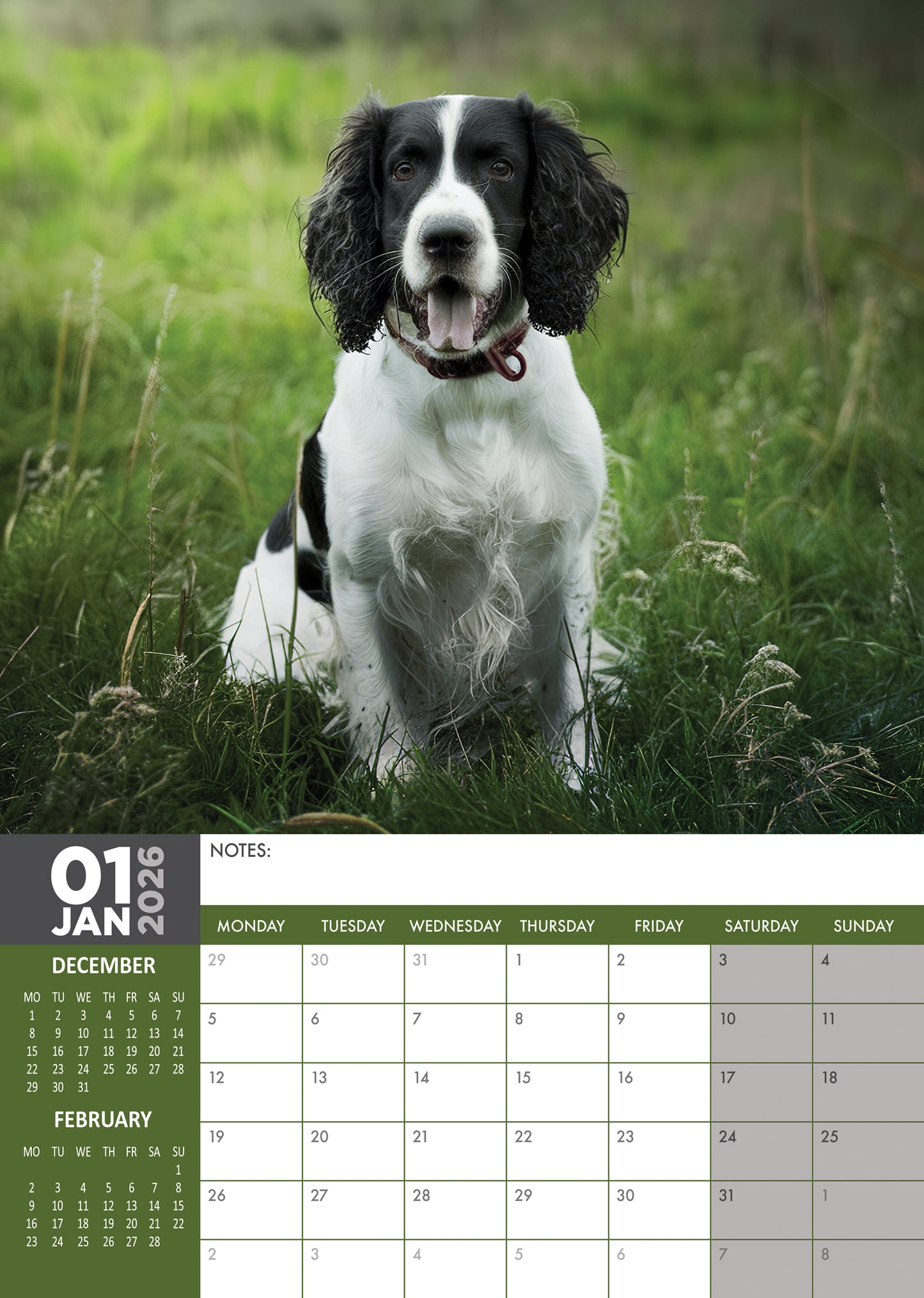 English Springer Spaniel Calendar 2026 – A Year of Charm and Boundless Energy