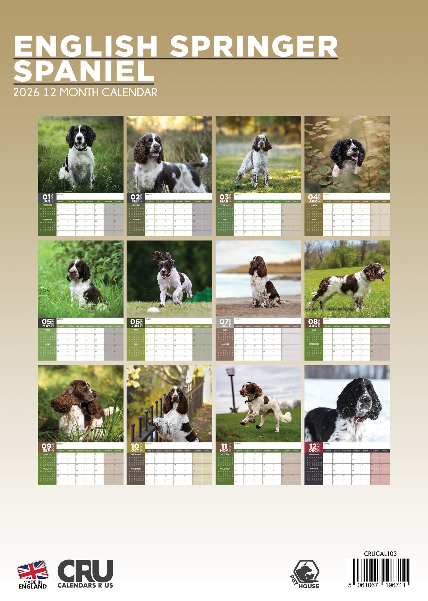 English Springer Spaniel Calendar 2026 – A Year of Charm and Boundless Energy