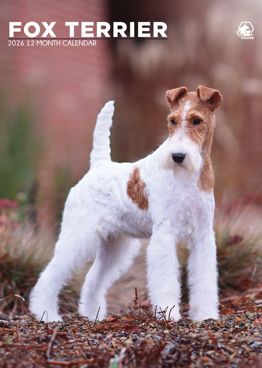 Fox Terrier Calendar 2026 – Celebrate a Year of Spirited Charm