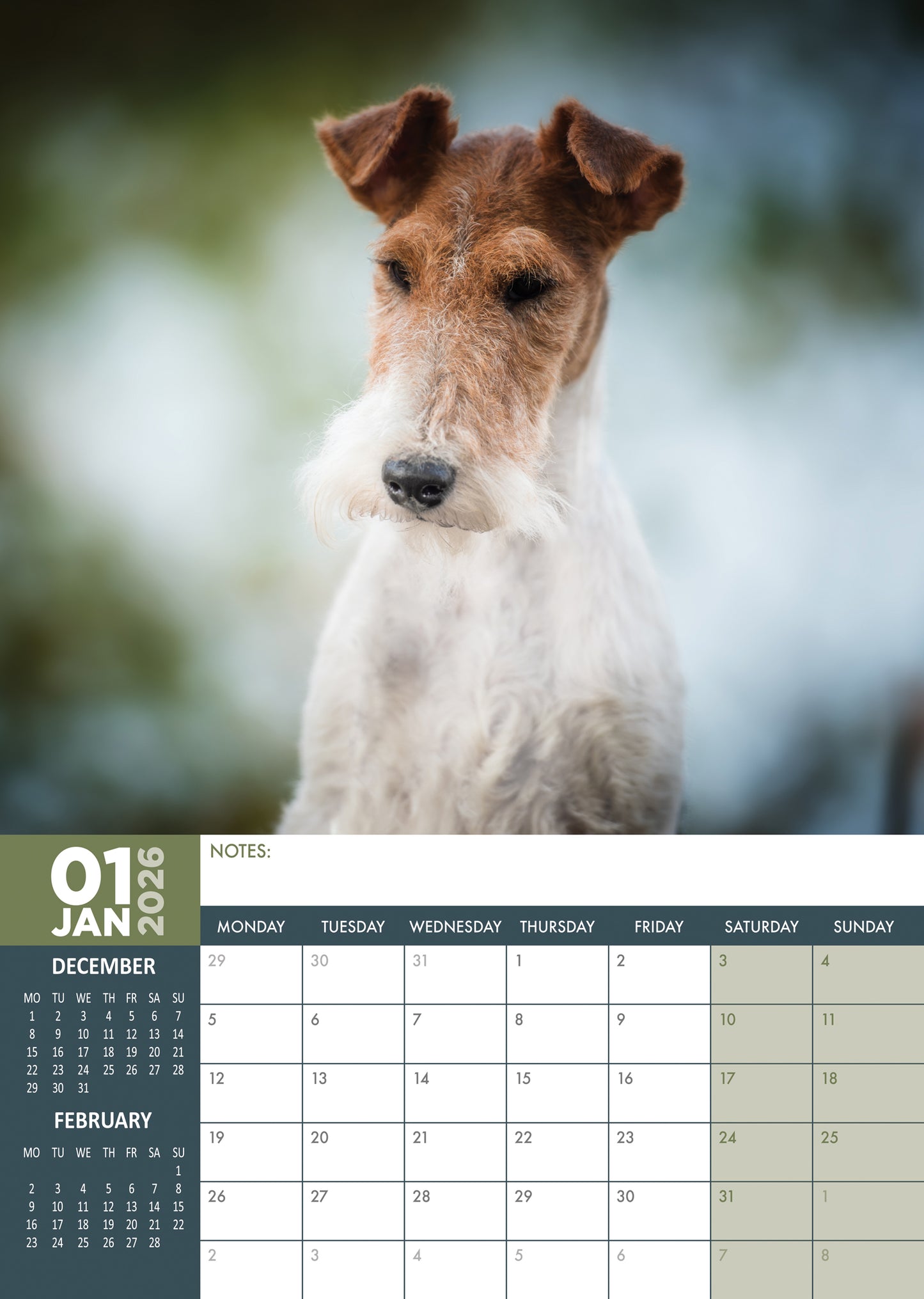 Fox Terrier Calendar 2026 – Celebrate a Year of Spirited Charm