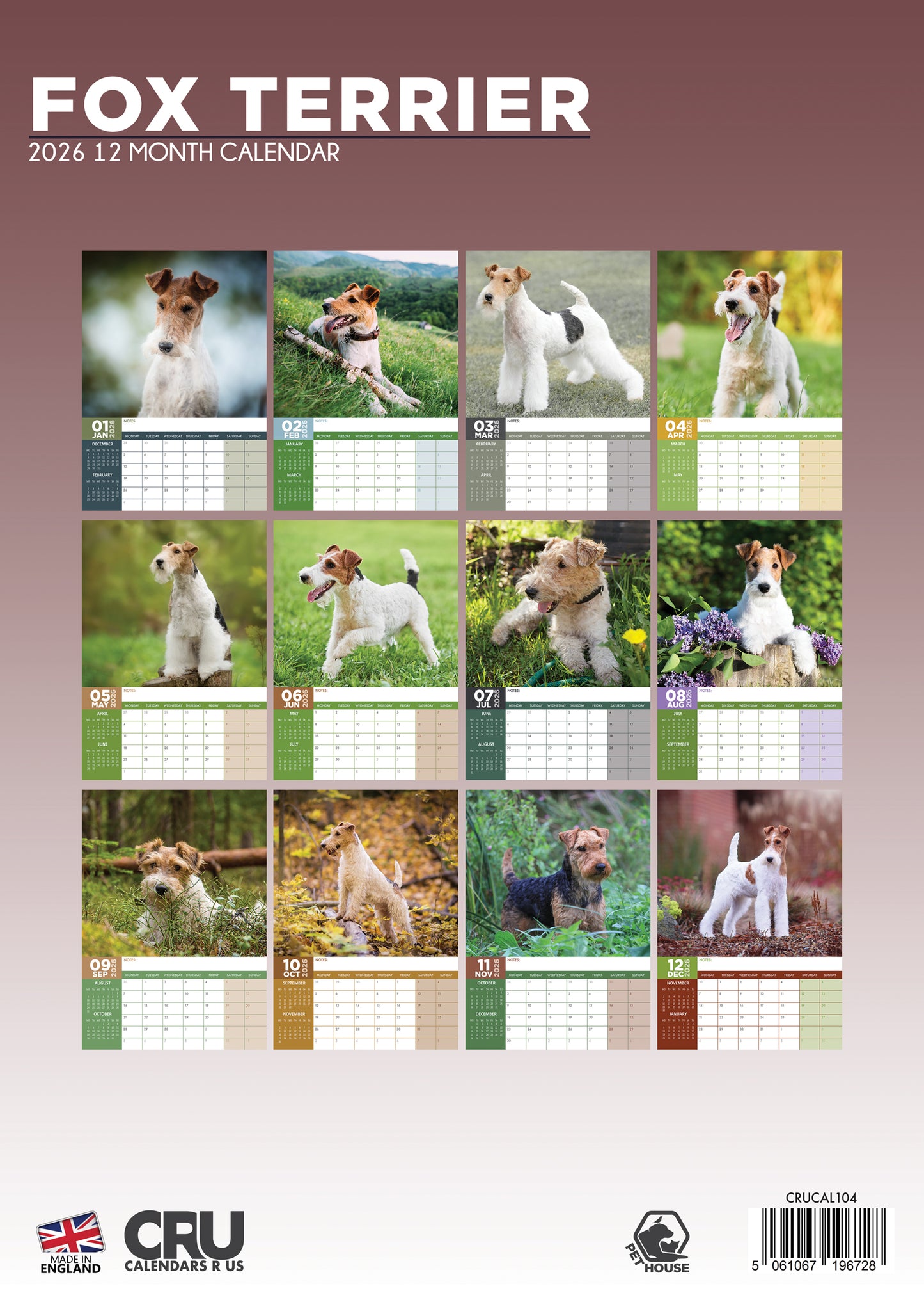 Fox Terrier Calendar 2026 – Celebrate a Year of Spirited Charm