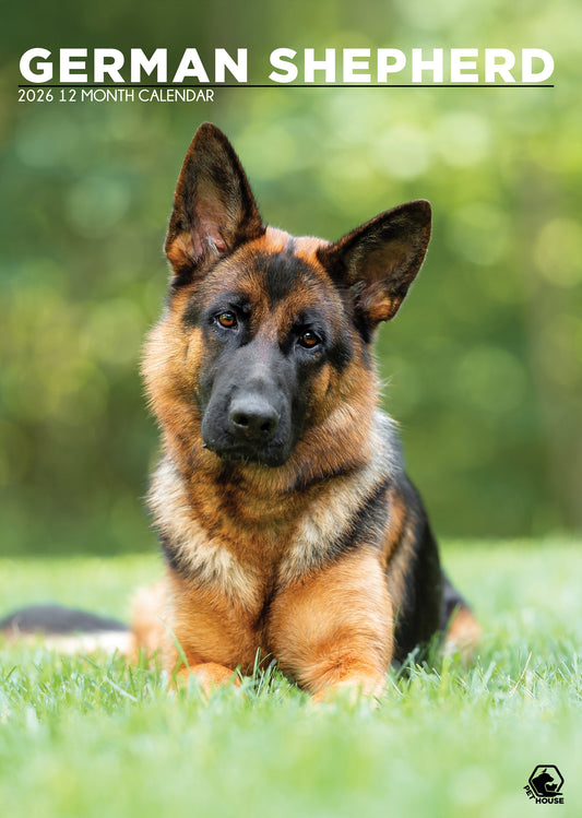 German Shepherd Calendar 2026 – Celebrate Loyalty, Strength & Intelligence All Year Round