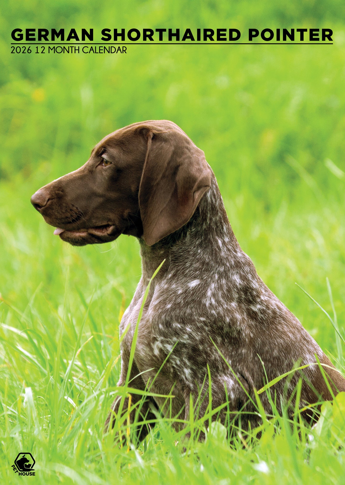 German Shorthaired Pointer Calendar 2026 – A Year of Energetic Elegance