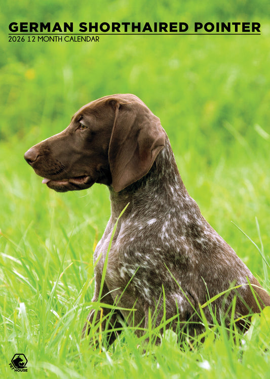 German Shorthaired Pointer Calendar 2026 – A Year of Energetic Elegance