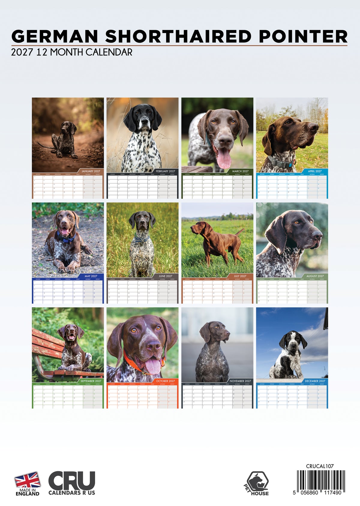 German Shorthaired Pointer Calendar 2027 – A Year of Energetic Elegance