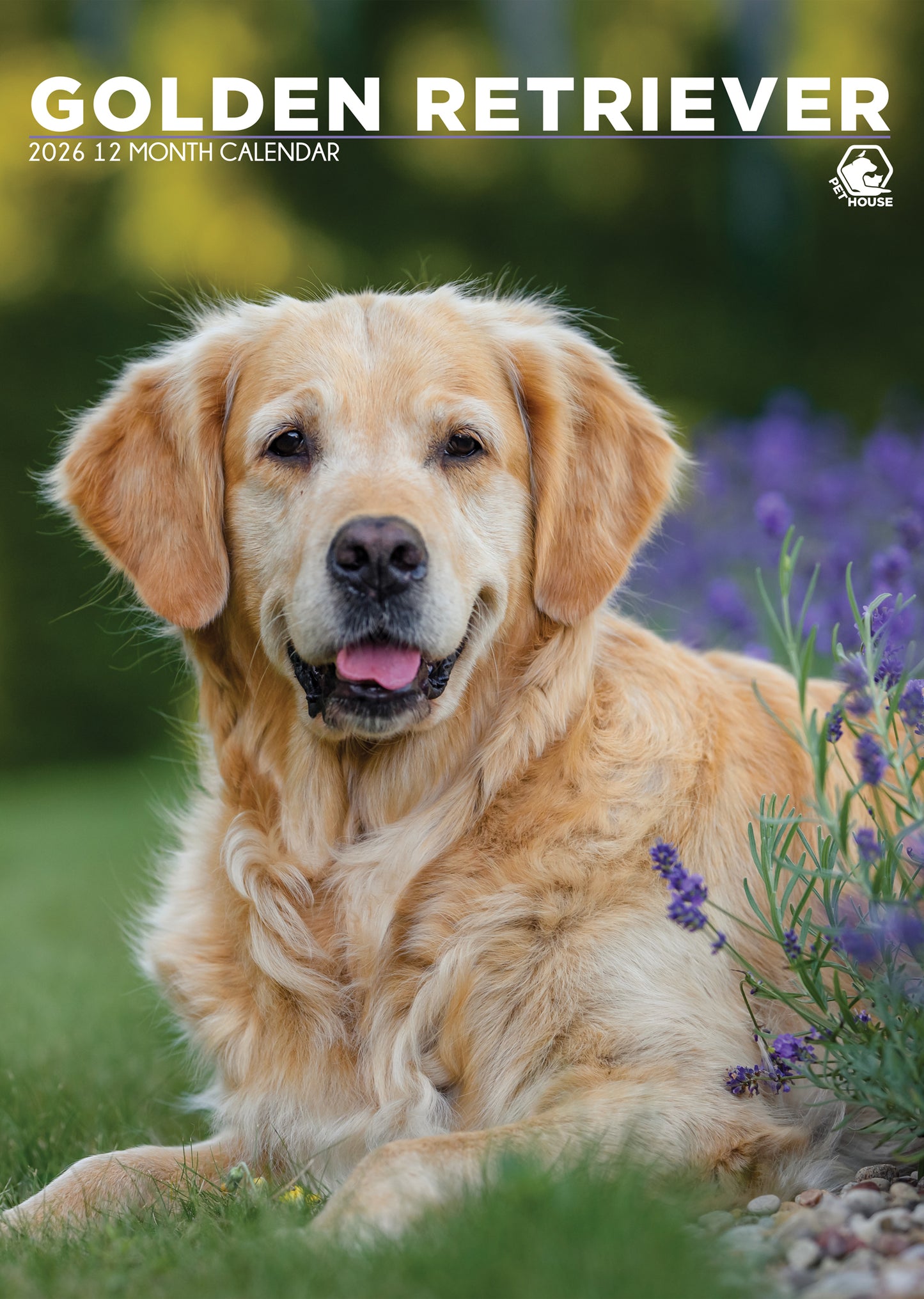 Golden Retriever Calendar 2026 – A Year of Loyalty, Love, and Golden Charm