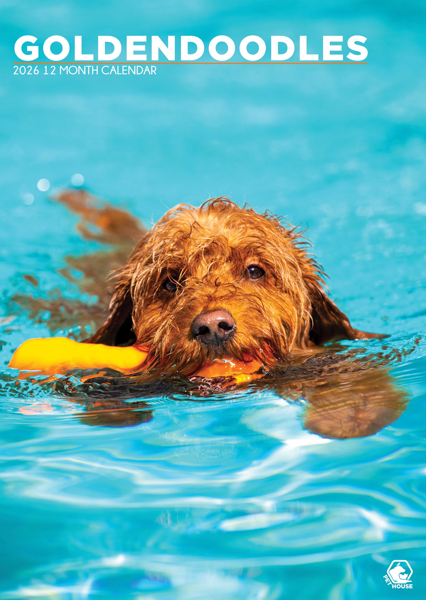 Goldendoodle Calendar 2026 – Celebrate the Charm of This Playful & Loving Breed