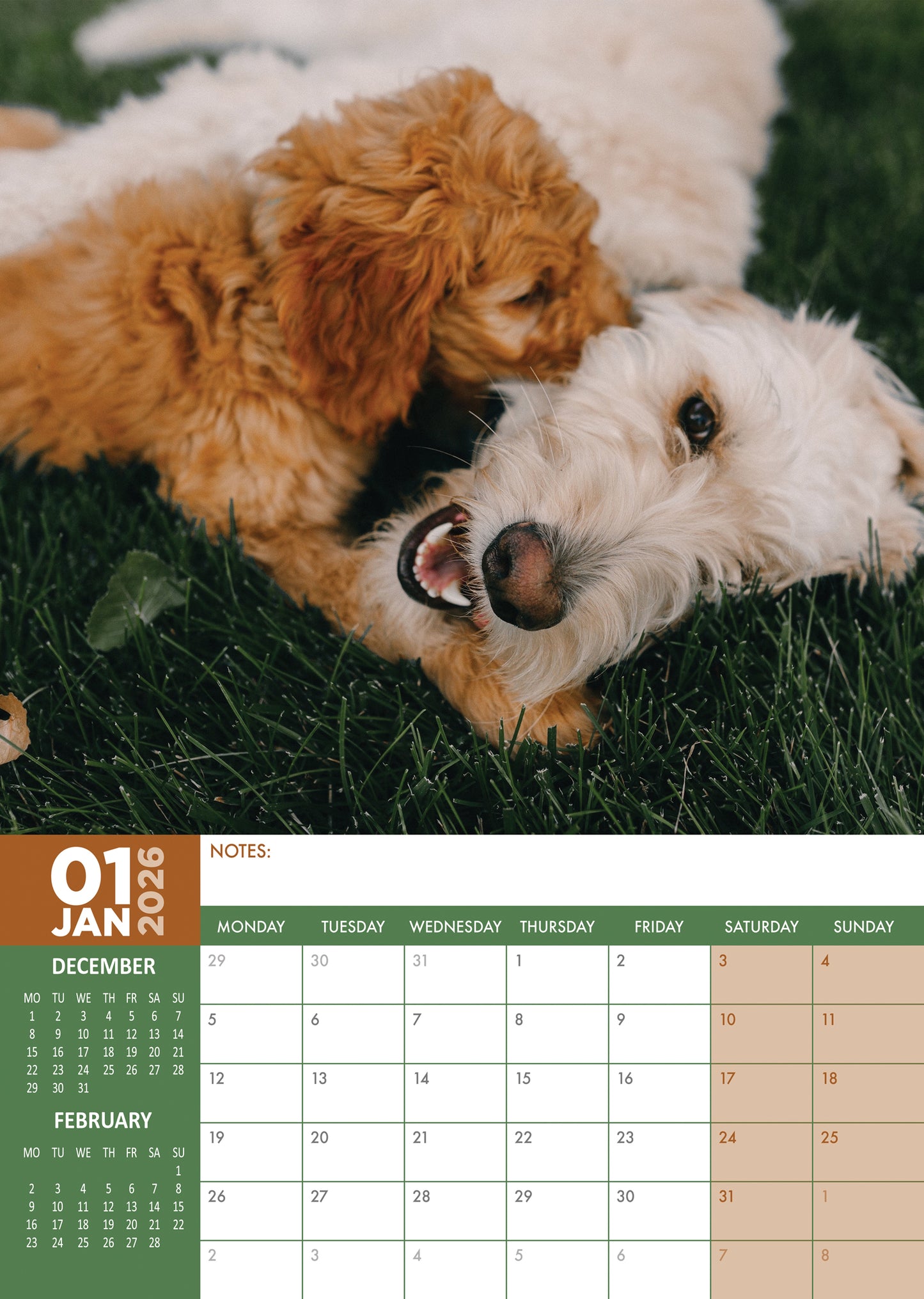 Goldendoodle Calendar 2026 – Celebrate the Charm of This Playful & Loving Breed