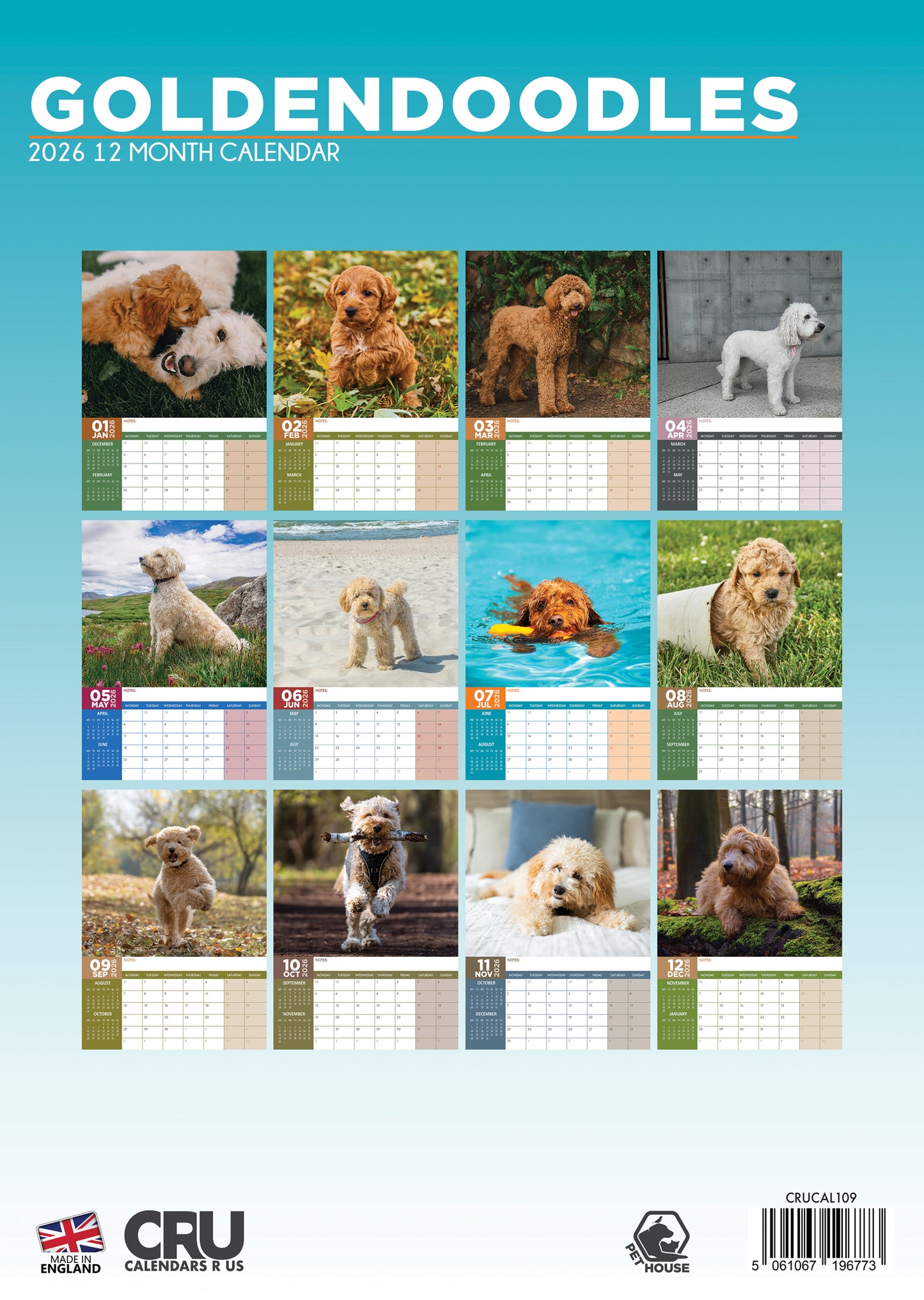 Goldendoodle Calendar 2026 – Celebrate the Charm of This Playful & Loving Breed