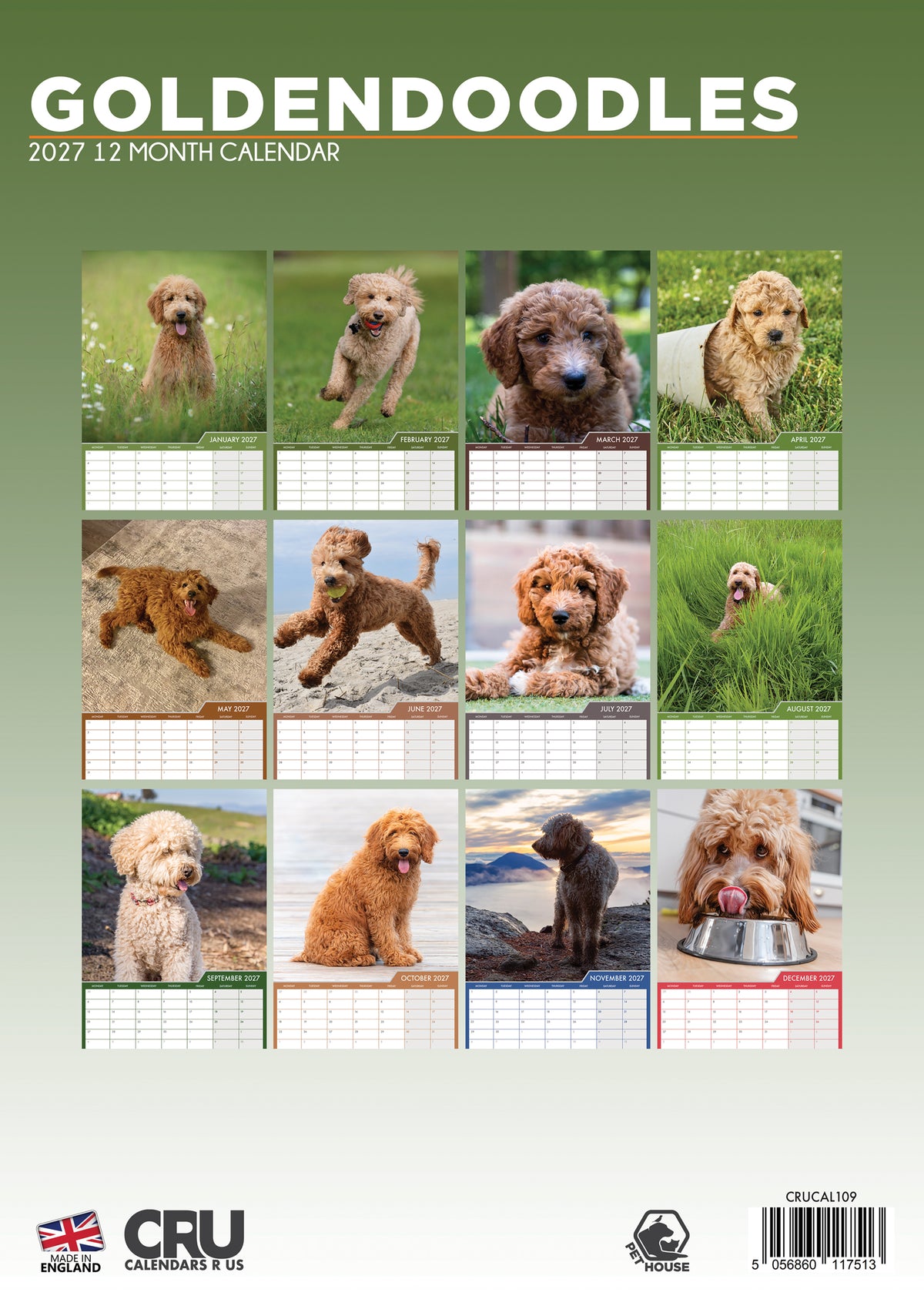 Goldendoodle Calendar 2027 – Celebrate the Charm of This Playful & Loving Breed