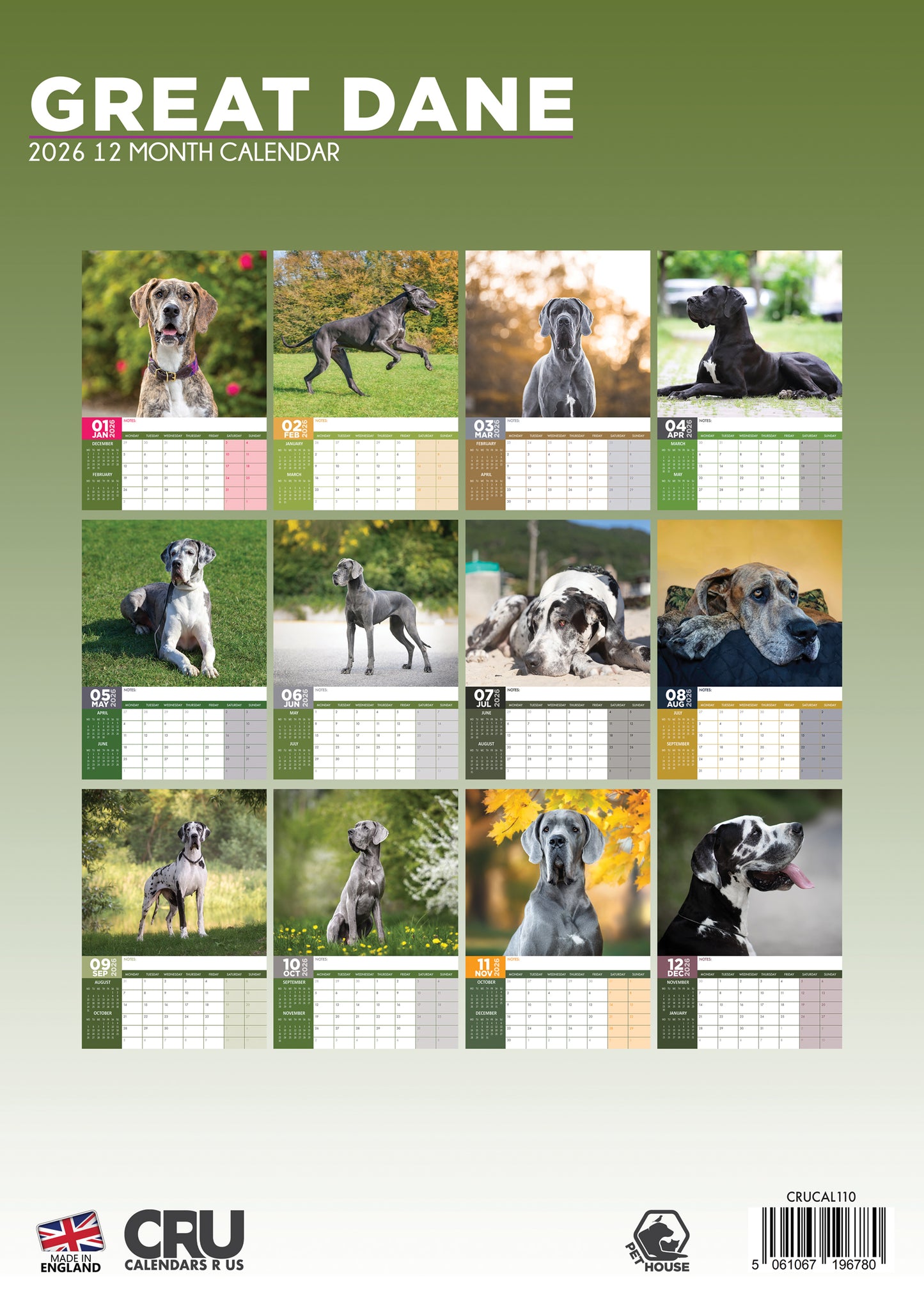 Great Dane Calendar 2026 – Celebrate the Gentle Giants of the Dog World
