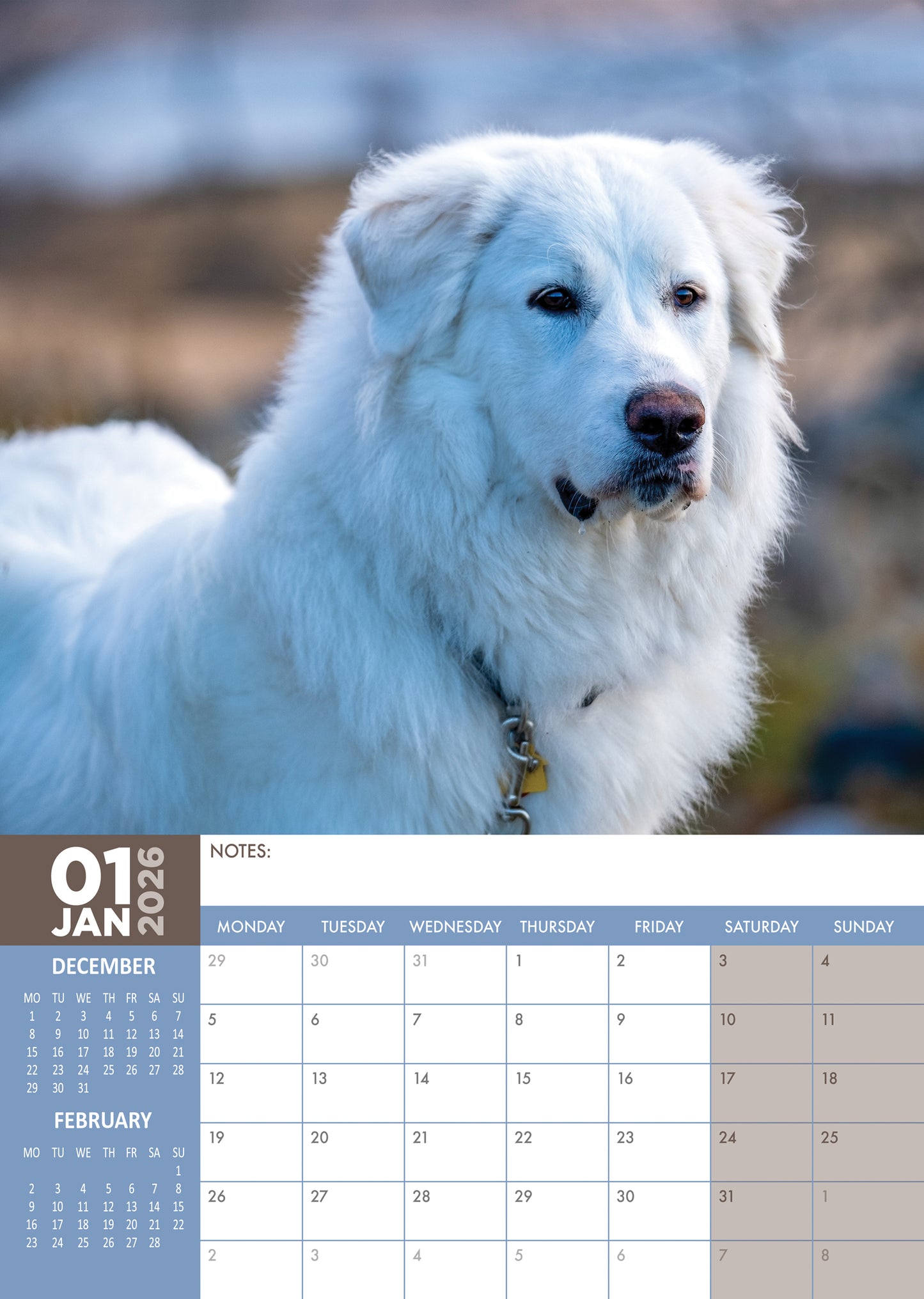 Great Pyrenees Calendar 2026 – A Year with the Gentle Giants of the Dog World