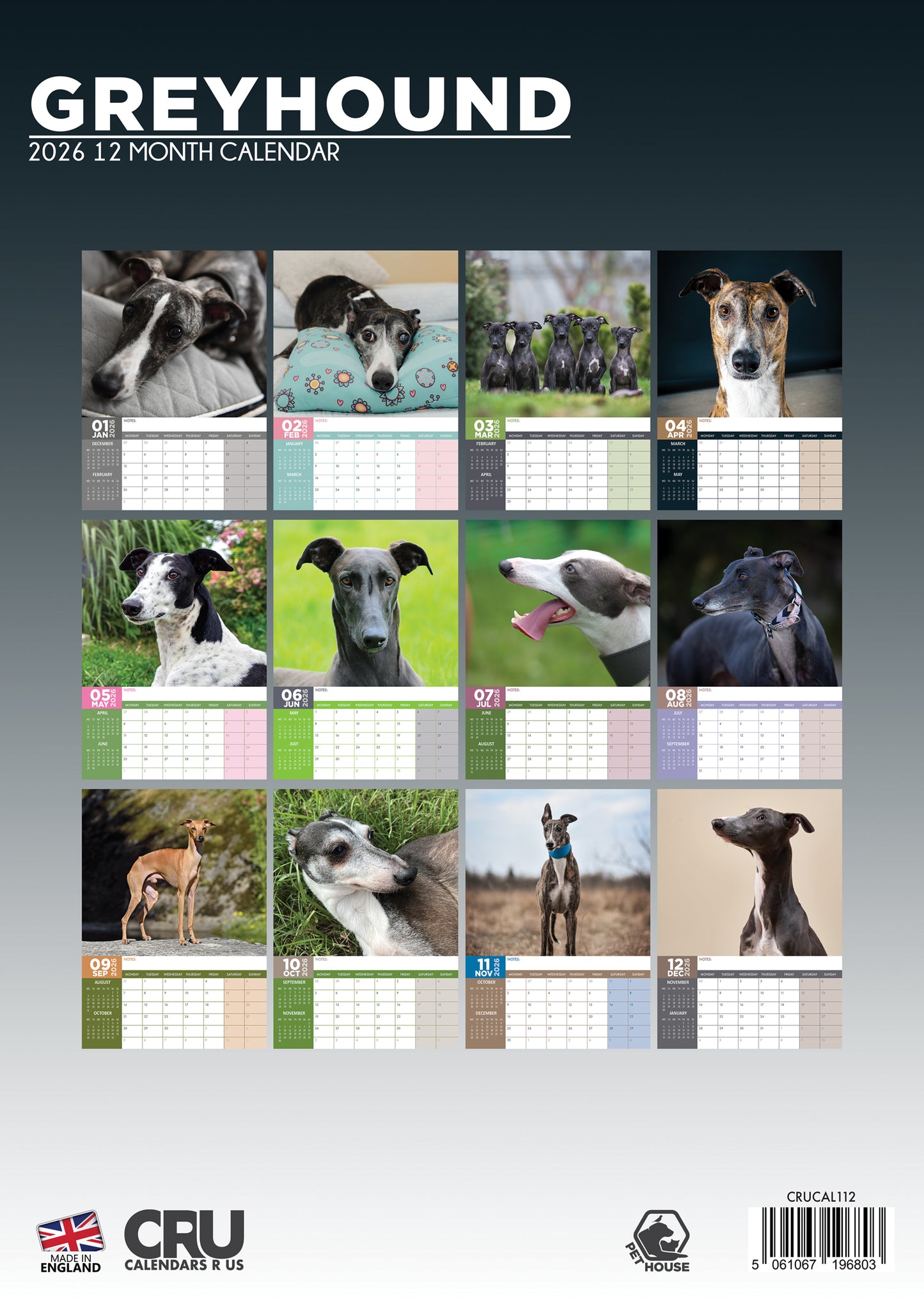 Greyhound Calendar 2026 – Celebrate the Grace and Heart of These Gentle Companions