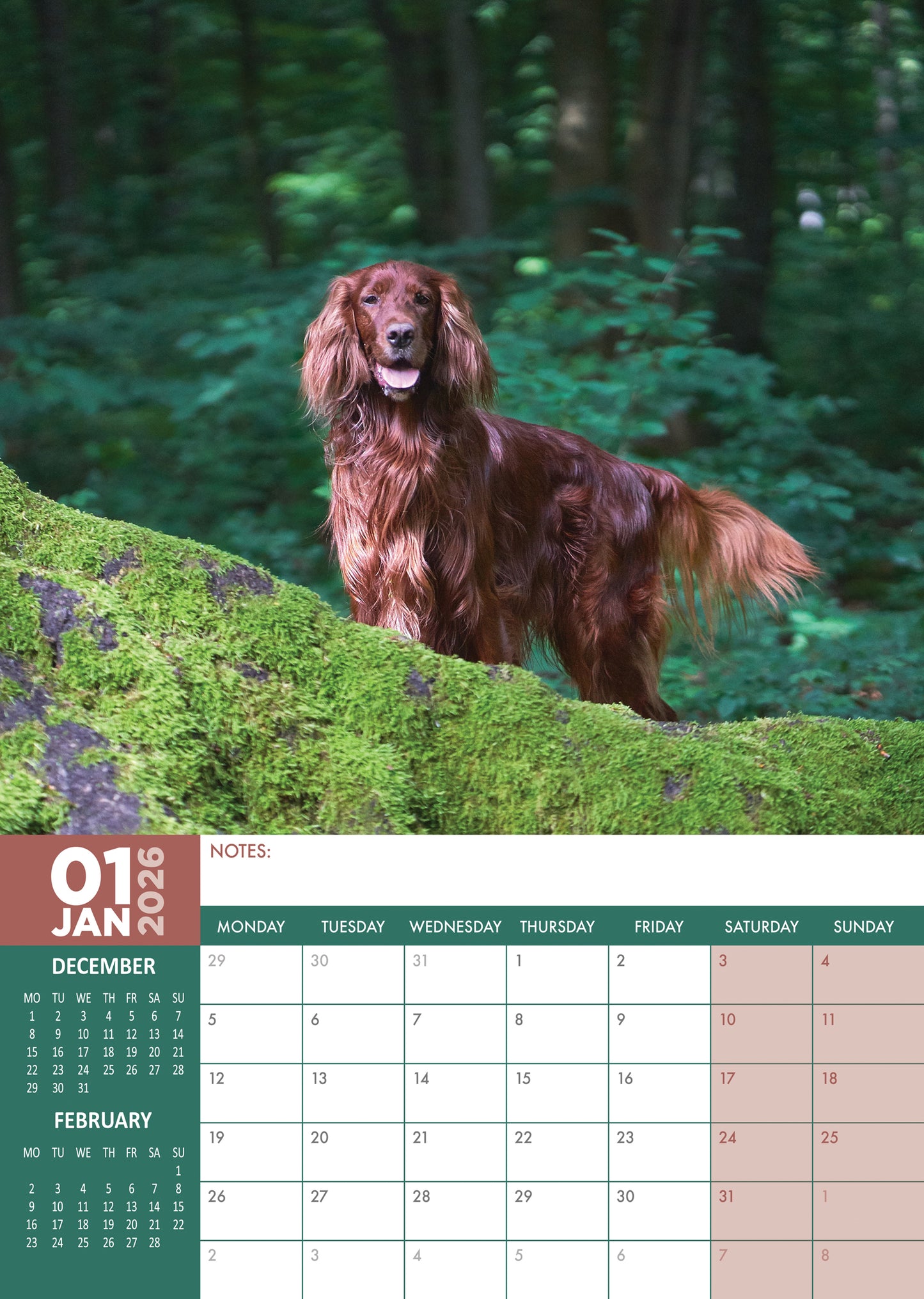 Irish Setter Calendar 2026 – A Year of Grace, Charm, and Fiery Red Elegance