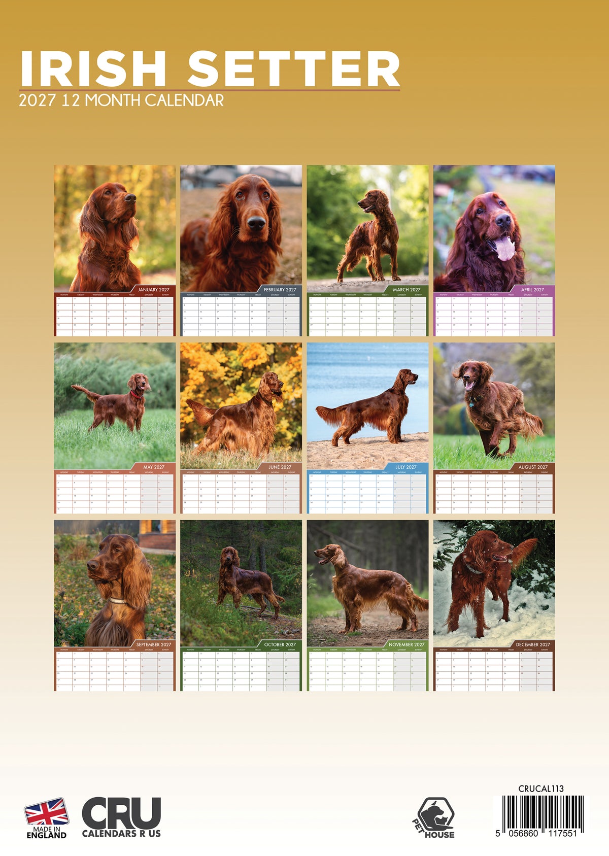 Irish Setter Calendar 2027 – A Year of Grace, Charm, and Fiery Red Elegance
