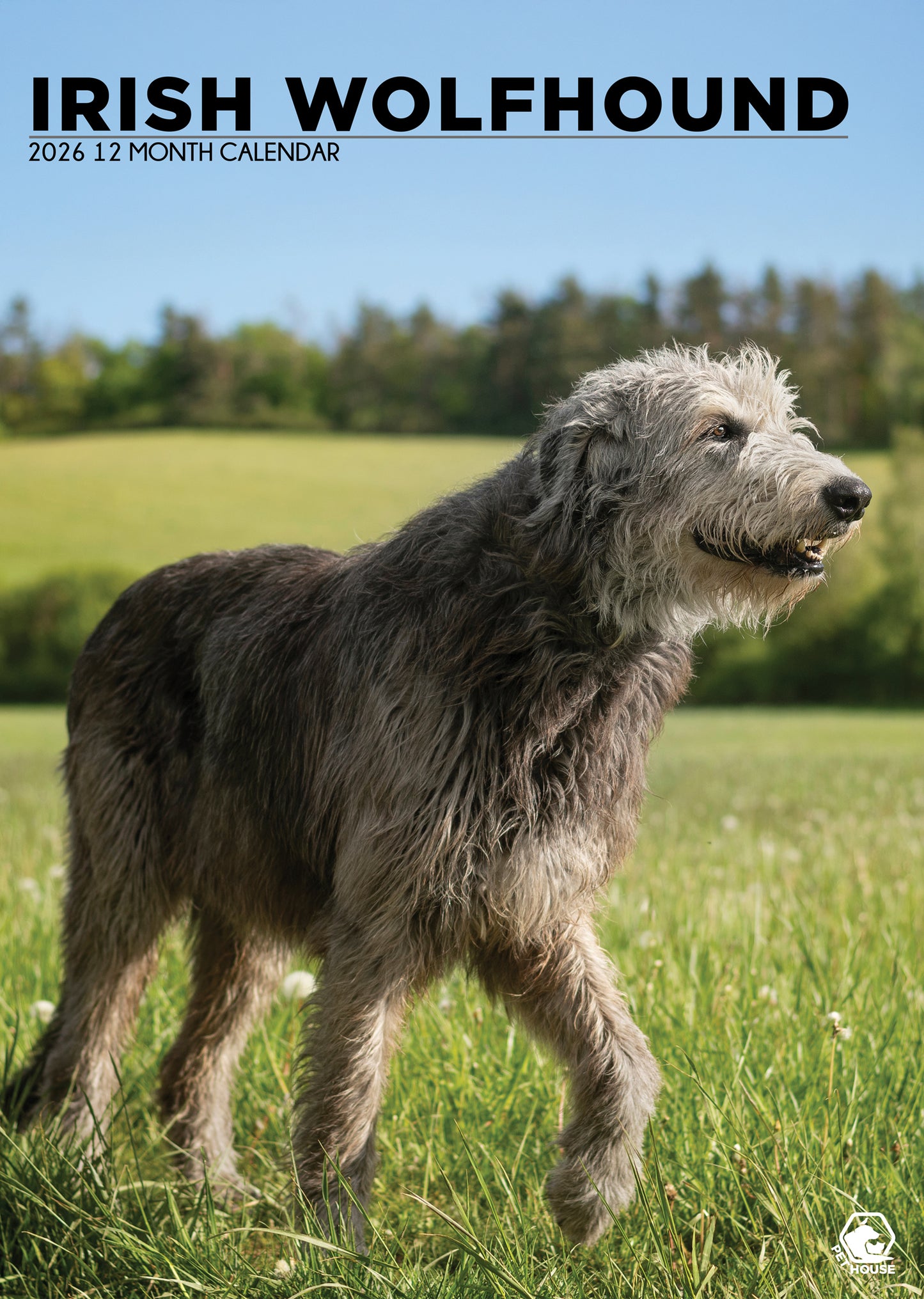 Irish Wolfhound Calendar 2026 – A Majestic Tribute to Gentle Giants