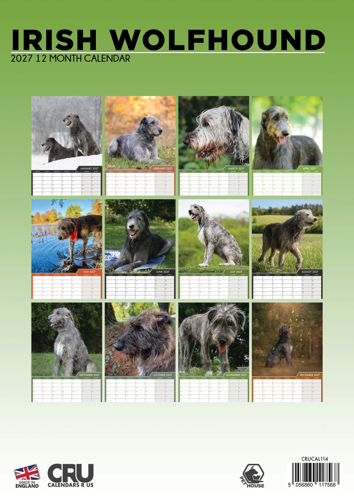 Irish Wolfhound Calendar 2027 – A Majestic Tribute to Gentle Giants