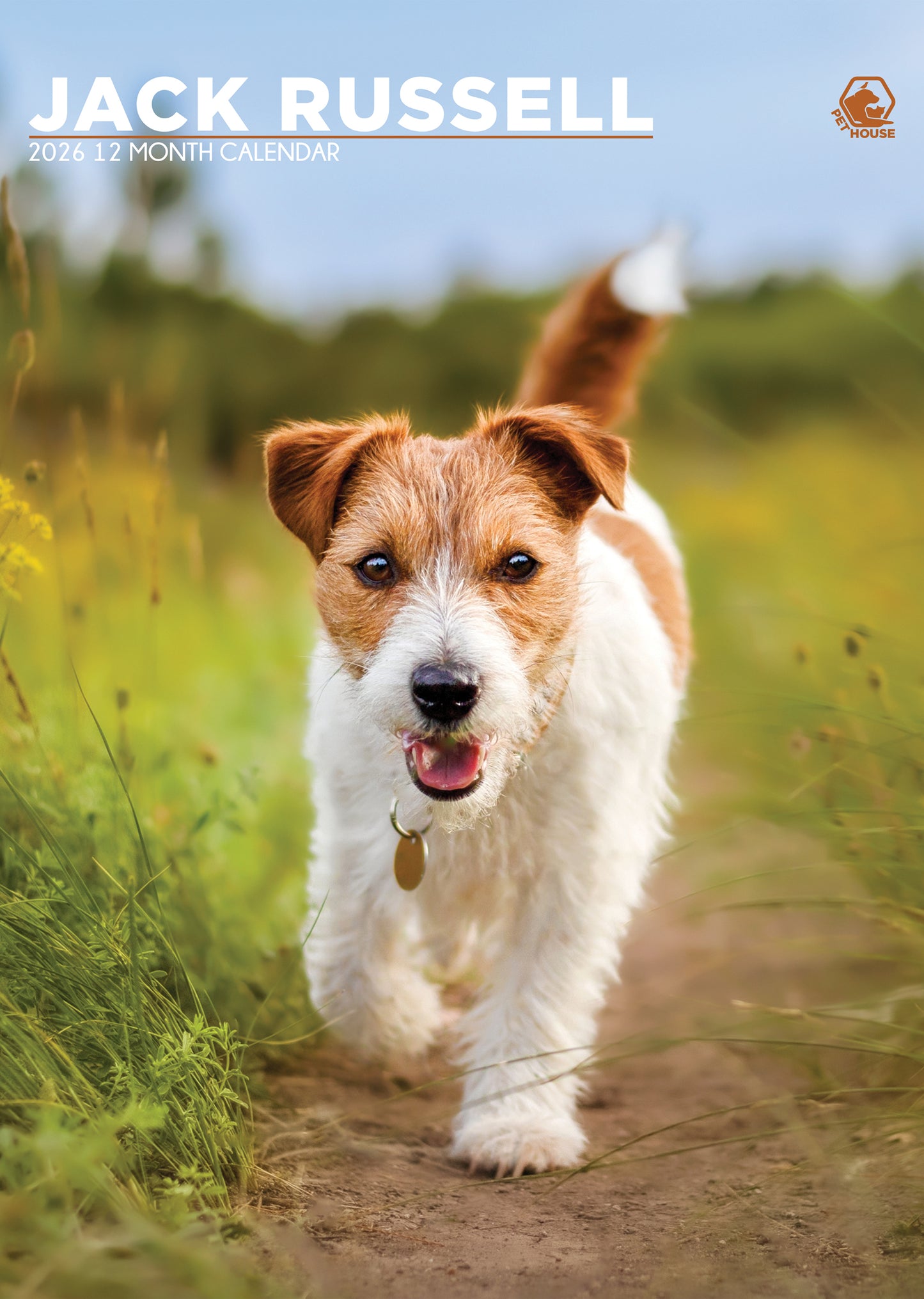 Jack Russell Calendar 2026 – The Energy and Charm of a Beloved Breed
