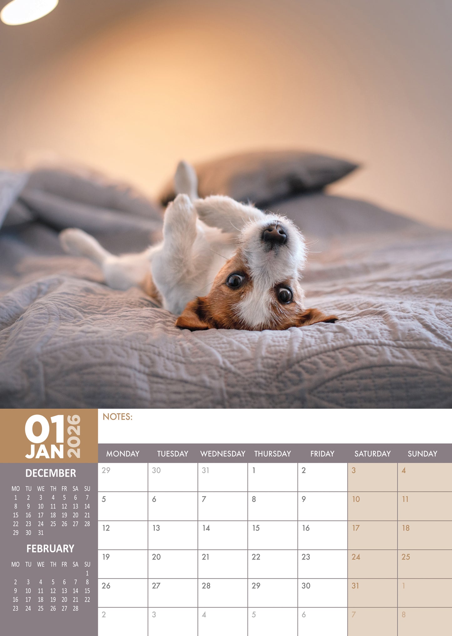 Jack Russell Calendar 2026 – The Energy and Charm of a Beloved Breed