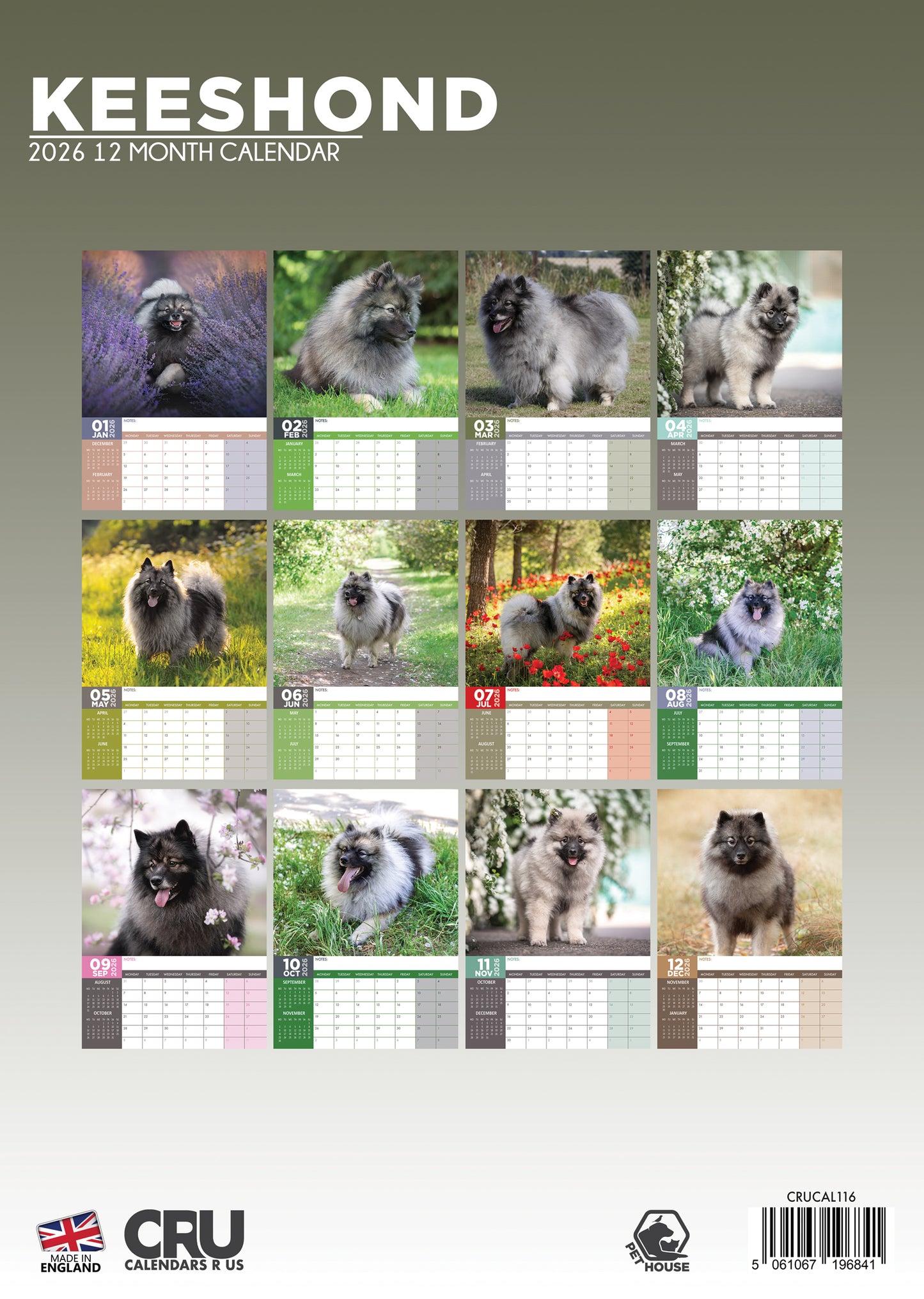 Keeshond Calendar 2026 – A Year of Fluff and Fun