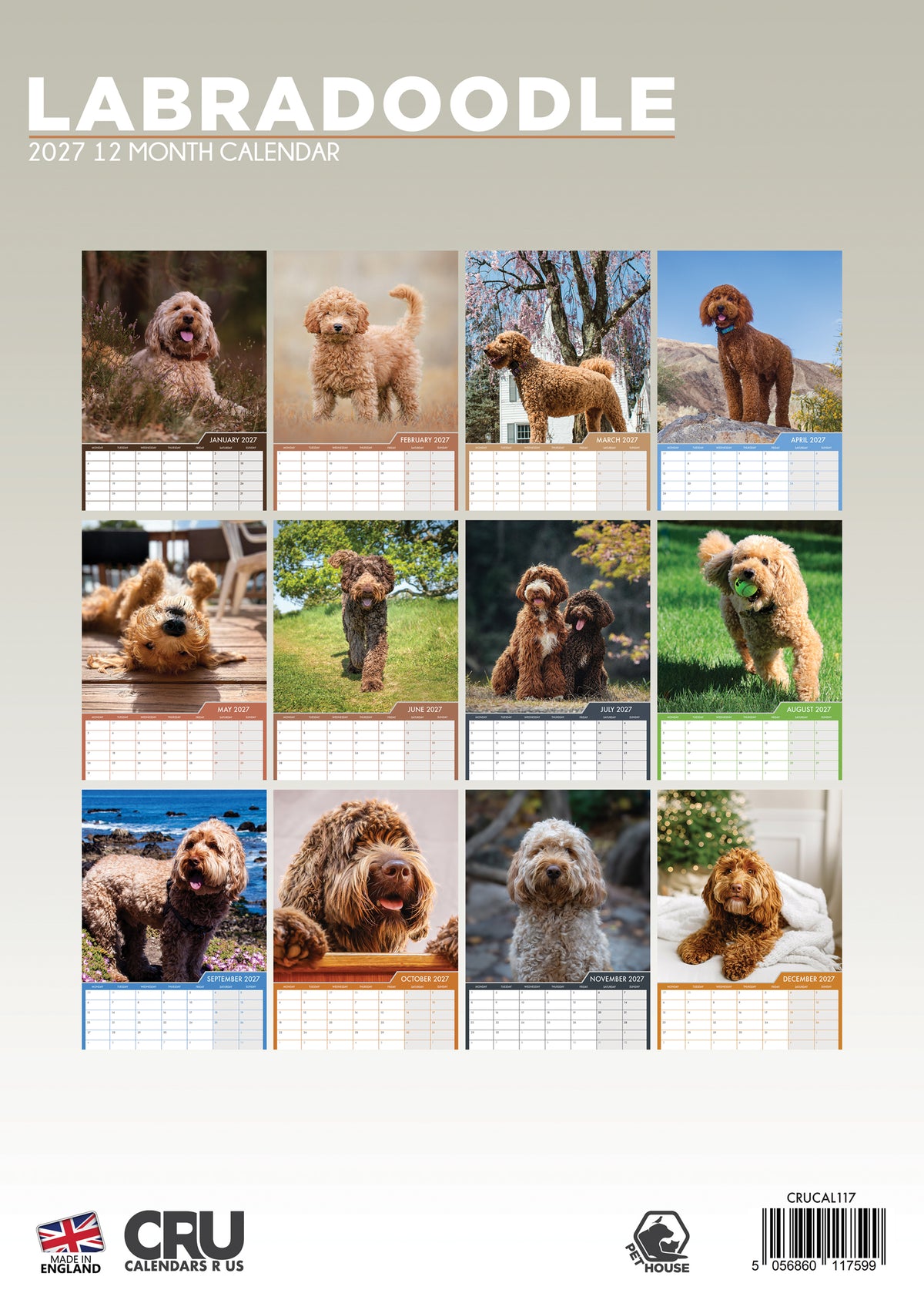 Labradoodle Calendar 2027 – A Year of Adorable Labradoodles