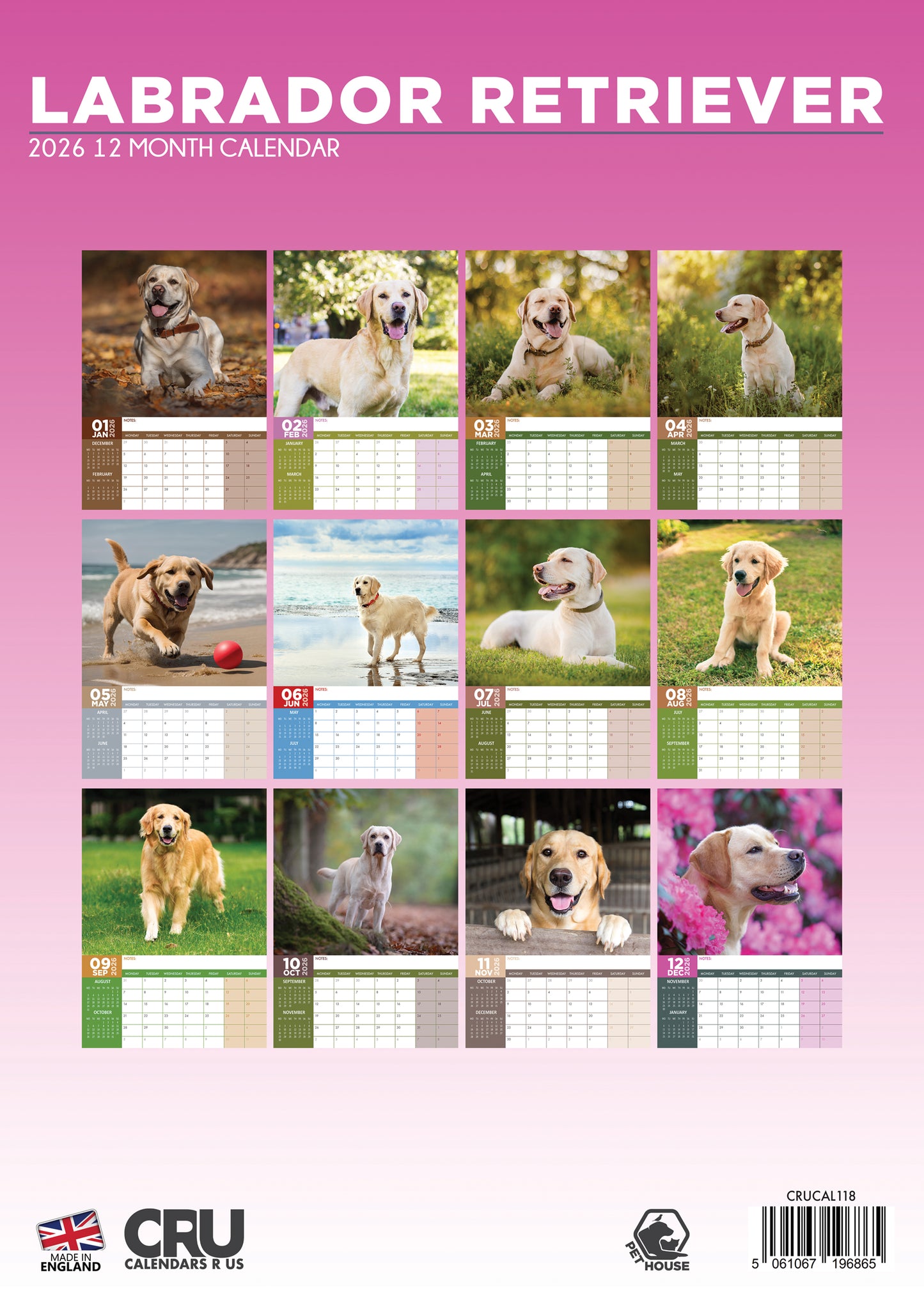 Labrador Retriever Calendar 2026 – Celebrate the Charm of the Labrador Retriever