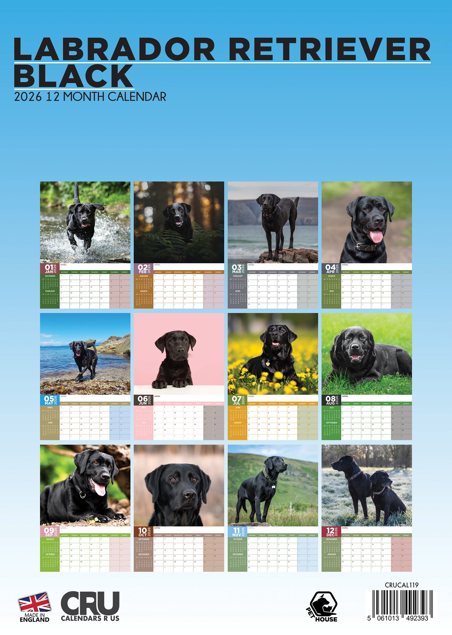 Labrador Retriever Black Calendar 2026 – Celebrate the Elegance of Black Labradors