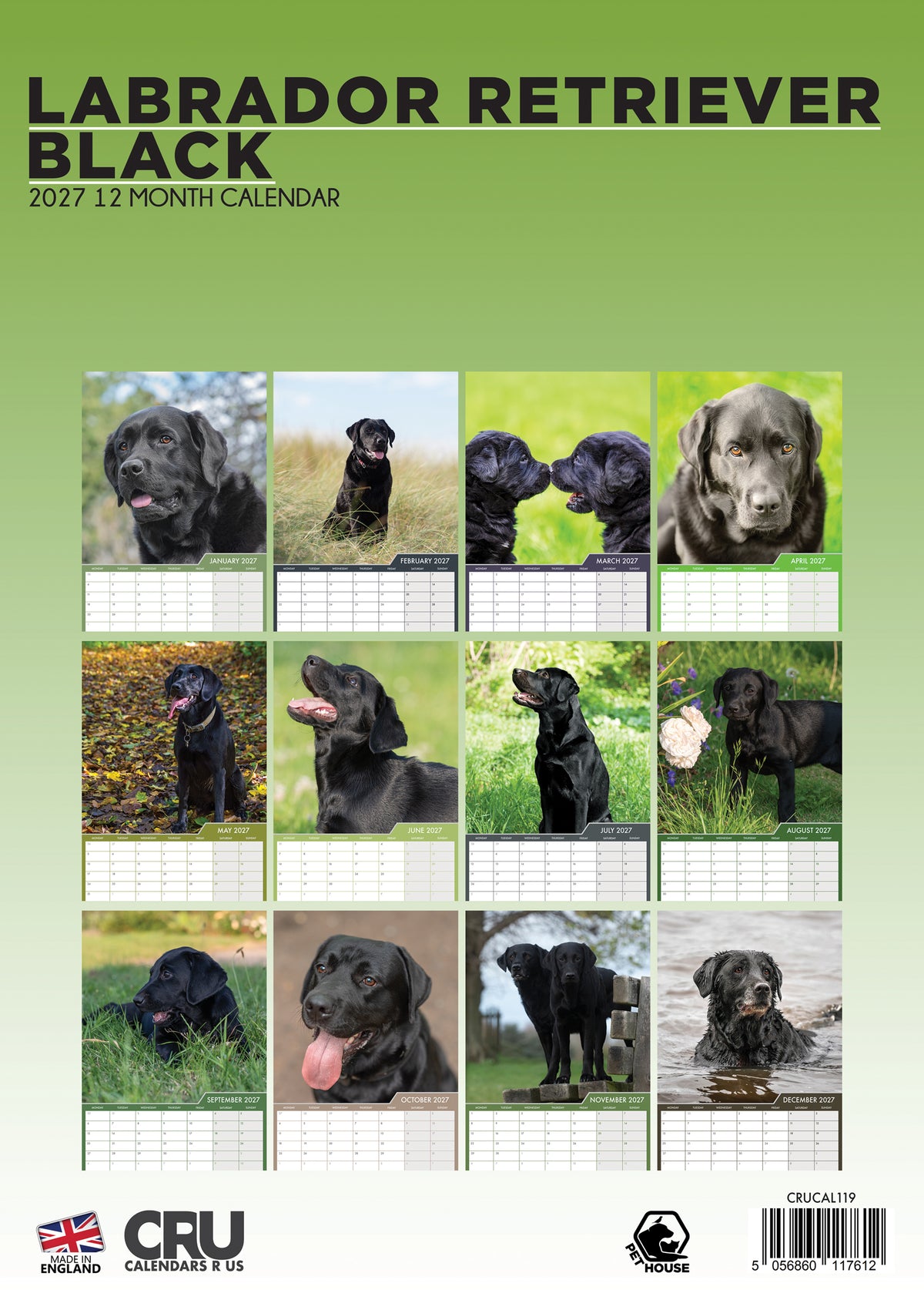 Labrador Retriever Black Calendar 2027 – Celebrate the Elegance of Black Labradors