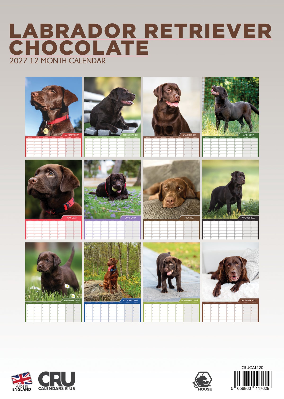 Labrador Retriever Chocolate Calendar 2027 – Celebrate the Charm of Chocolate Labradors