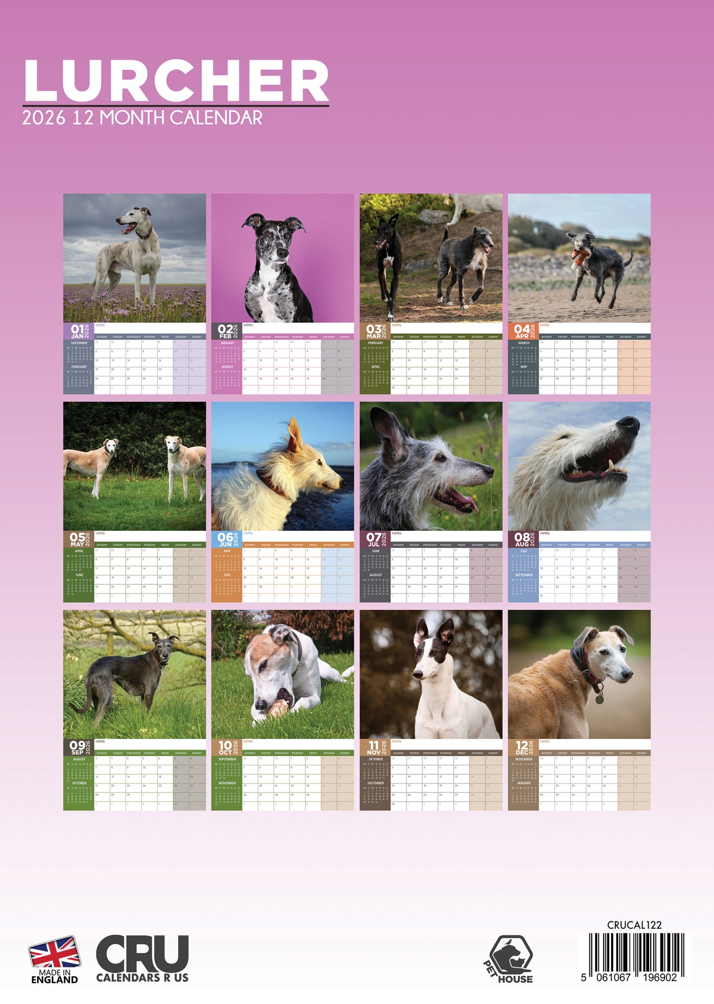 Lurcher Calendar 2026 – A Year with Graceful and Gentle Companions