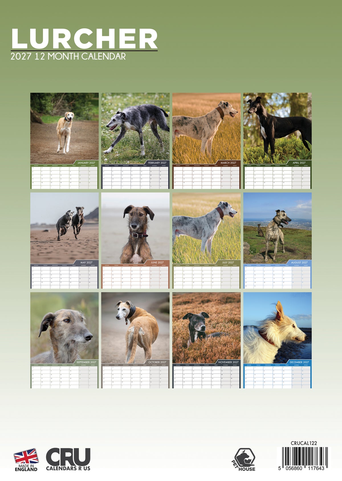 Lurcher Calendar 2027 – A Year with Graceful and Gentle Companions