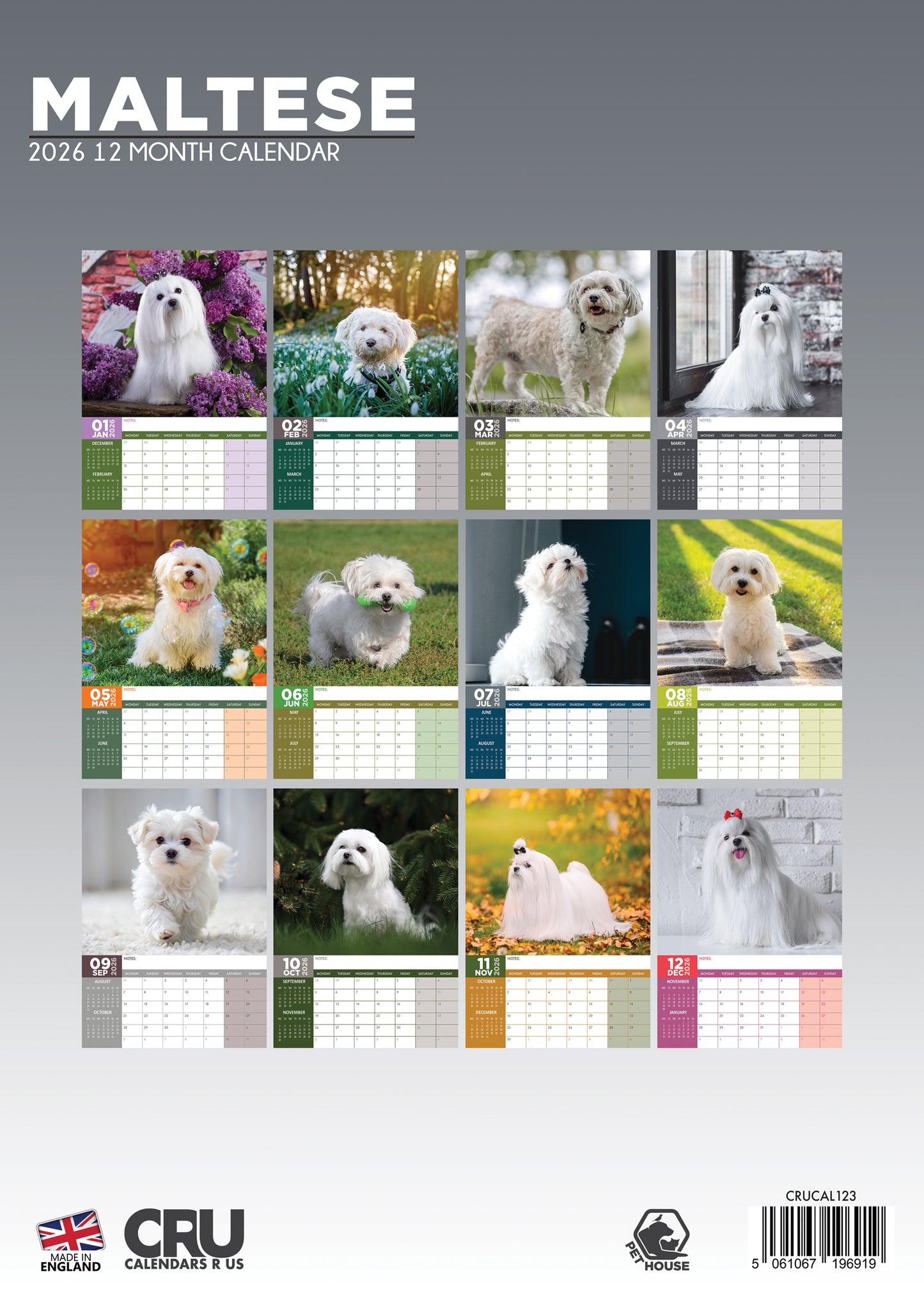 Maltese Calendar 2026 – A Year of Elegance and Fluff