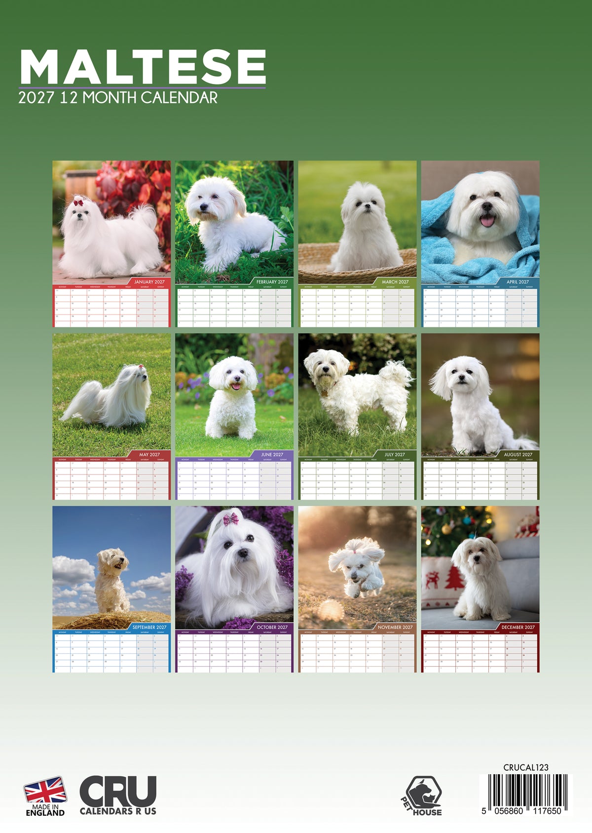 Maltese Calendar 2027 – A Year of Elegance and Fluff