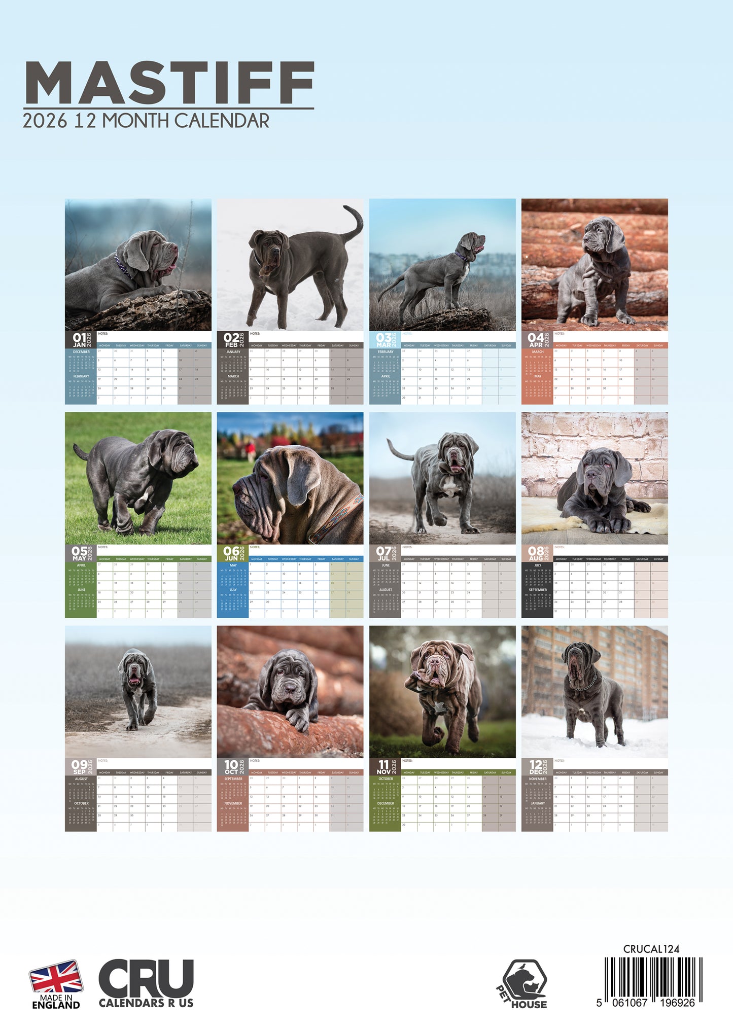 Mastiff Calendar 2026 – Celebrate a Year of Gentle Giants